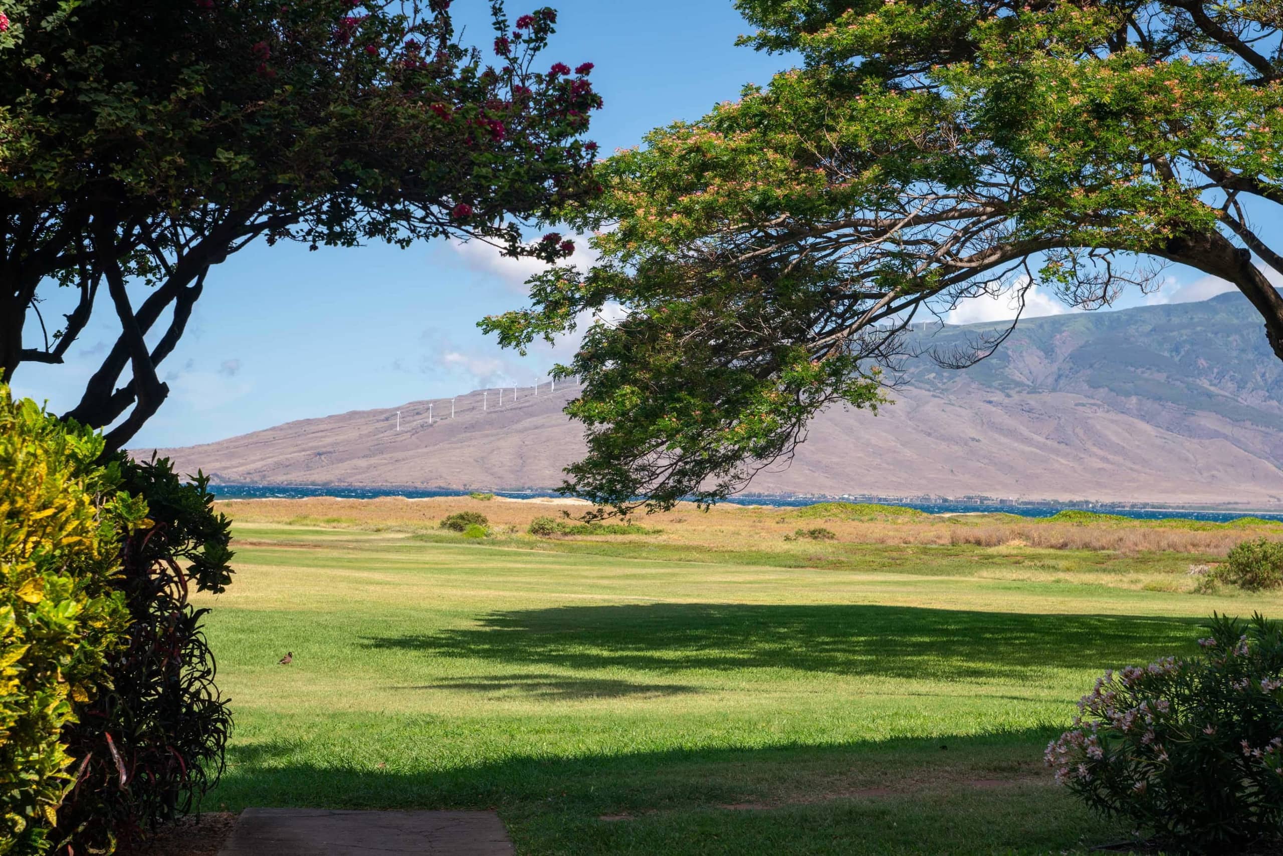Condo in Kihei · ★4.95 · 1 bedroom · 2 beds · 1 bath - Image 32
