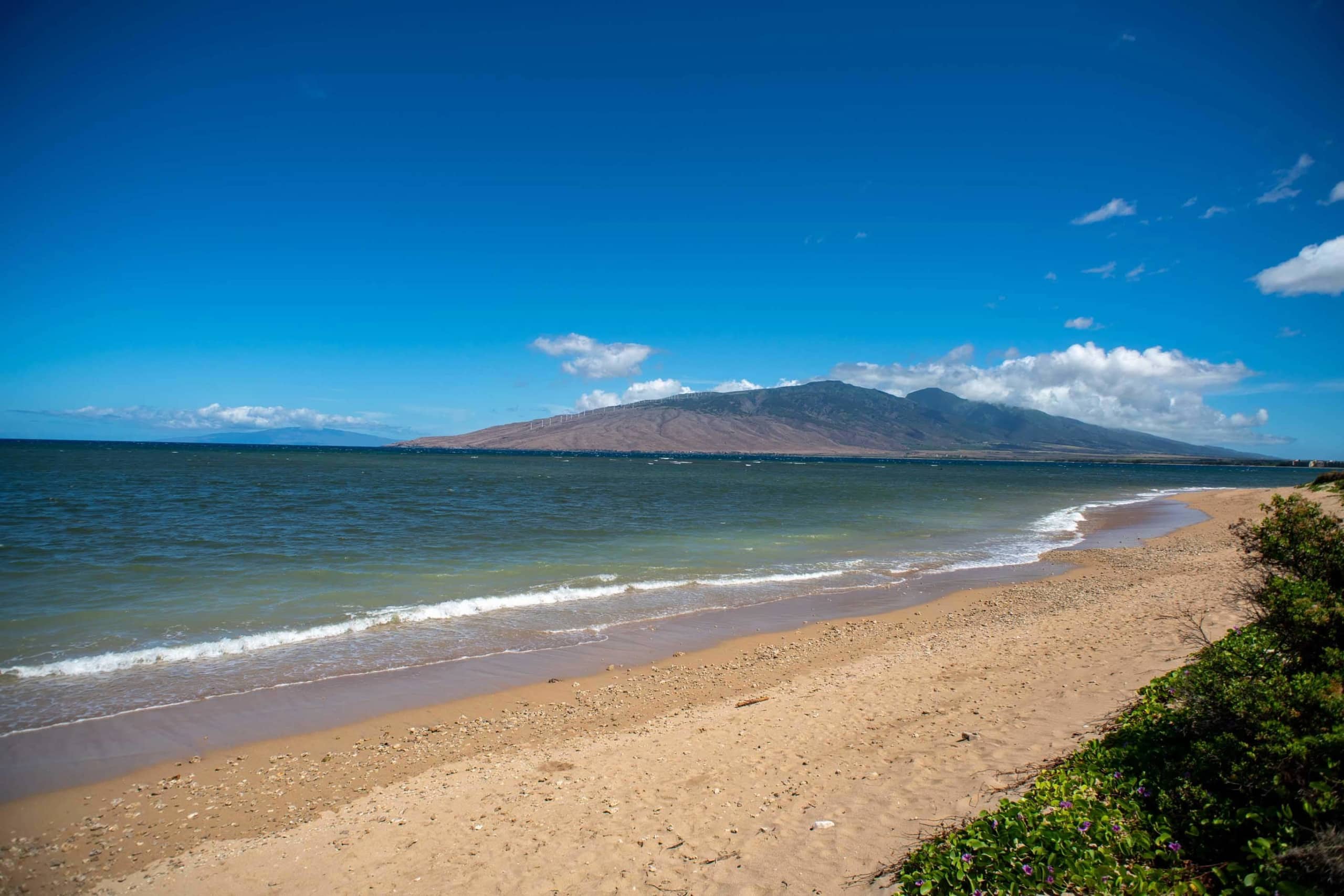 Condo in Kihei · ★4.95 · 1 bedroom · 2 beds · 1 bath - Image 38