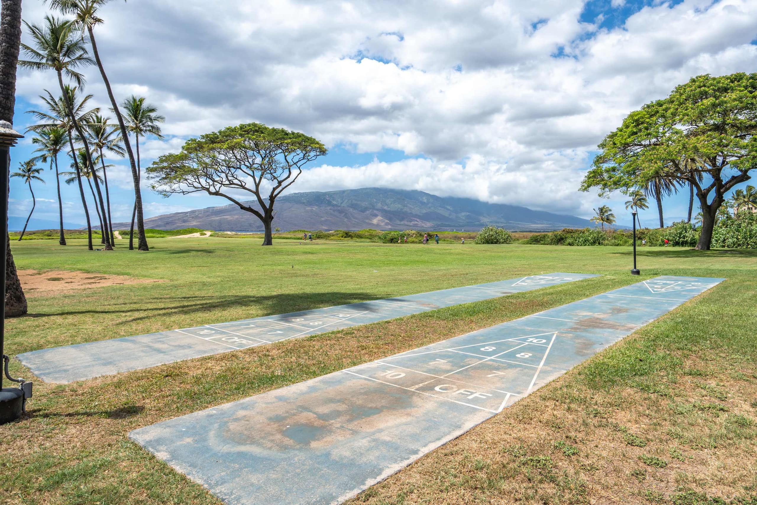 Condo in Kihei · ★4.95 · 1 bedroom · 2 beds · 1 bath - Image 52