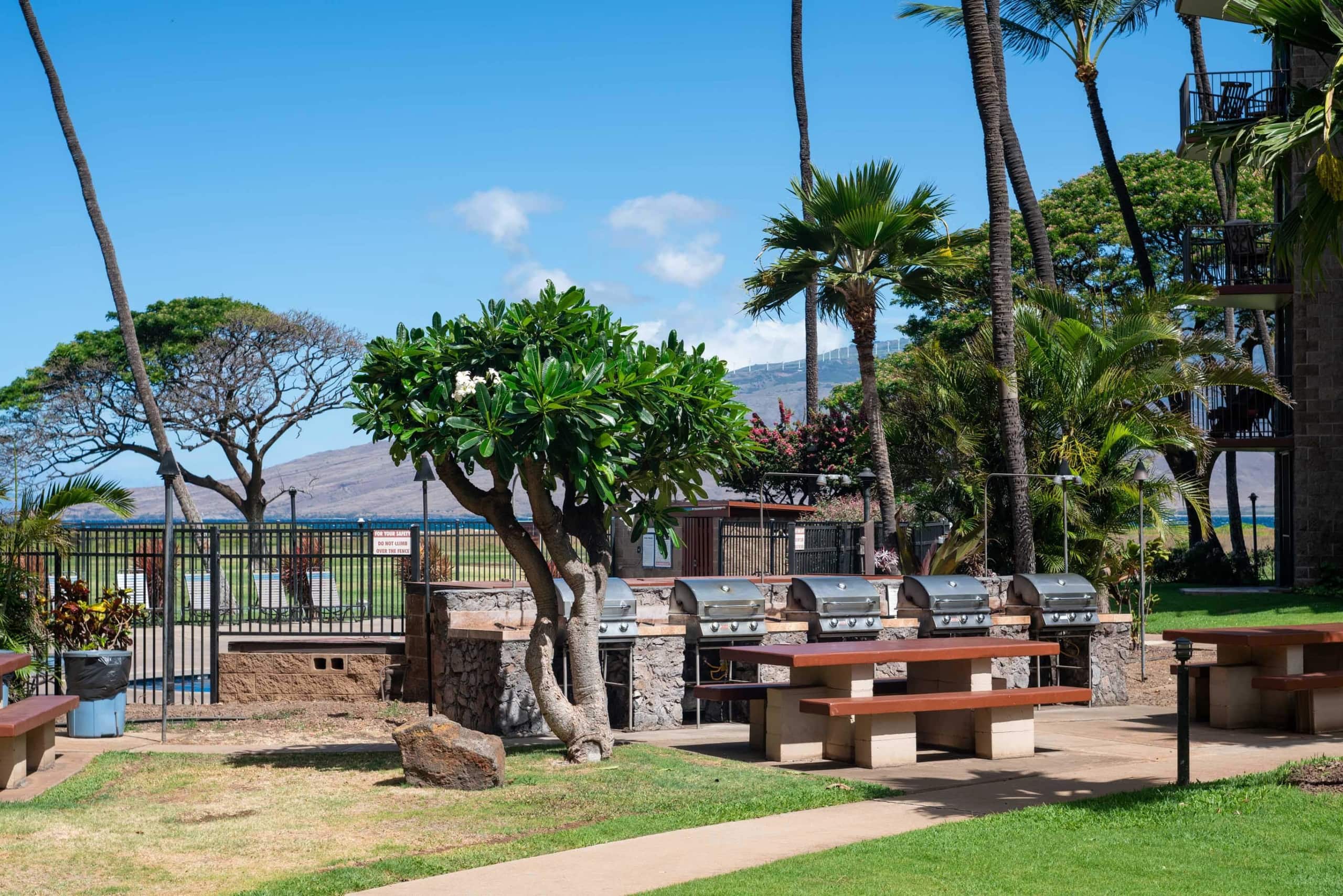 Condo in Kihei · ★4.95 · 1 bedroom · 2 beds · 1 bath - Image 30