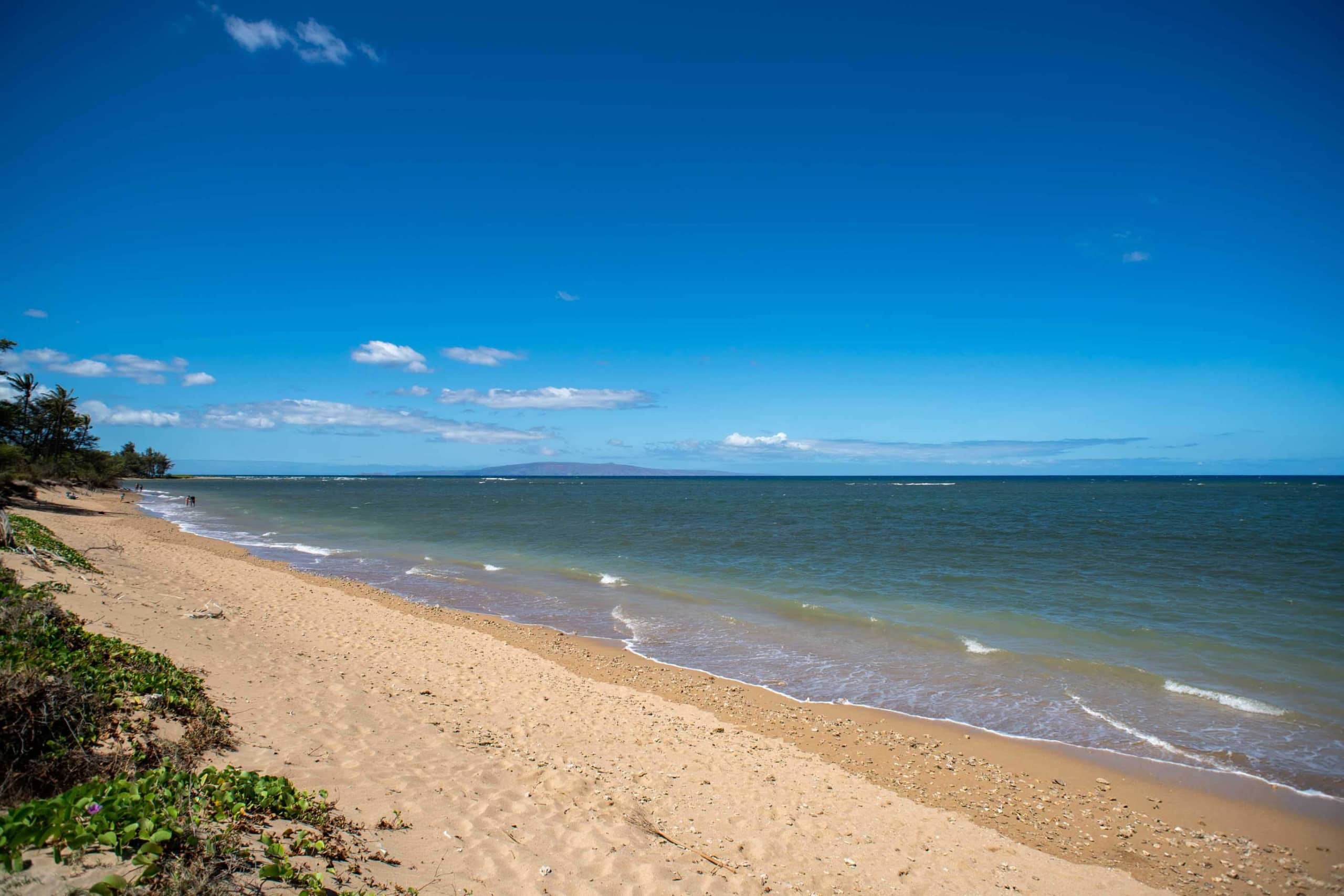 Condo in Kihei · ★4.95 · 1 bedroom · 2 beds · 1 bath - Image 37