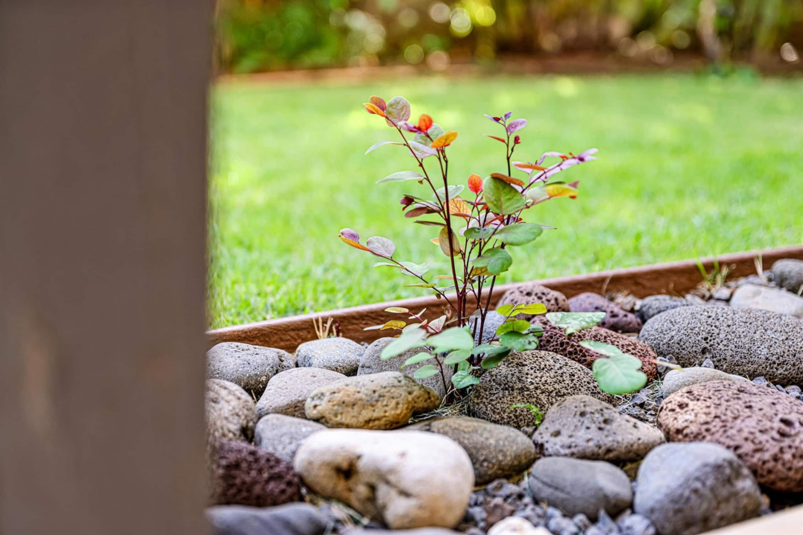 The Blue Door on Church Street | Maui Garden Suite - Image 14