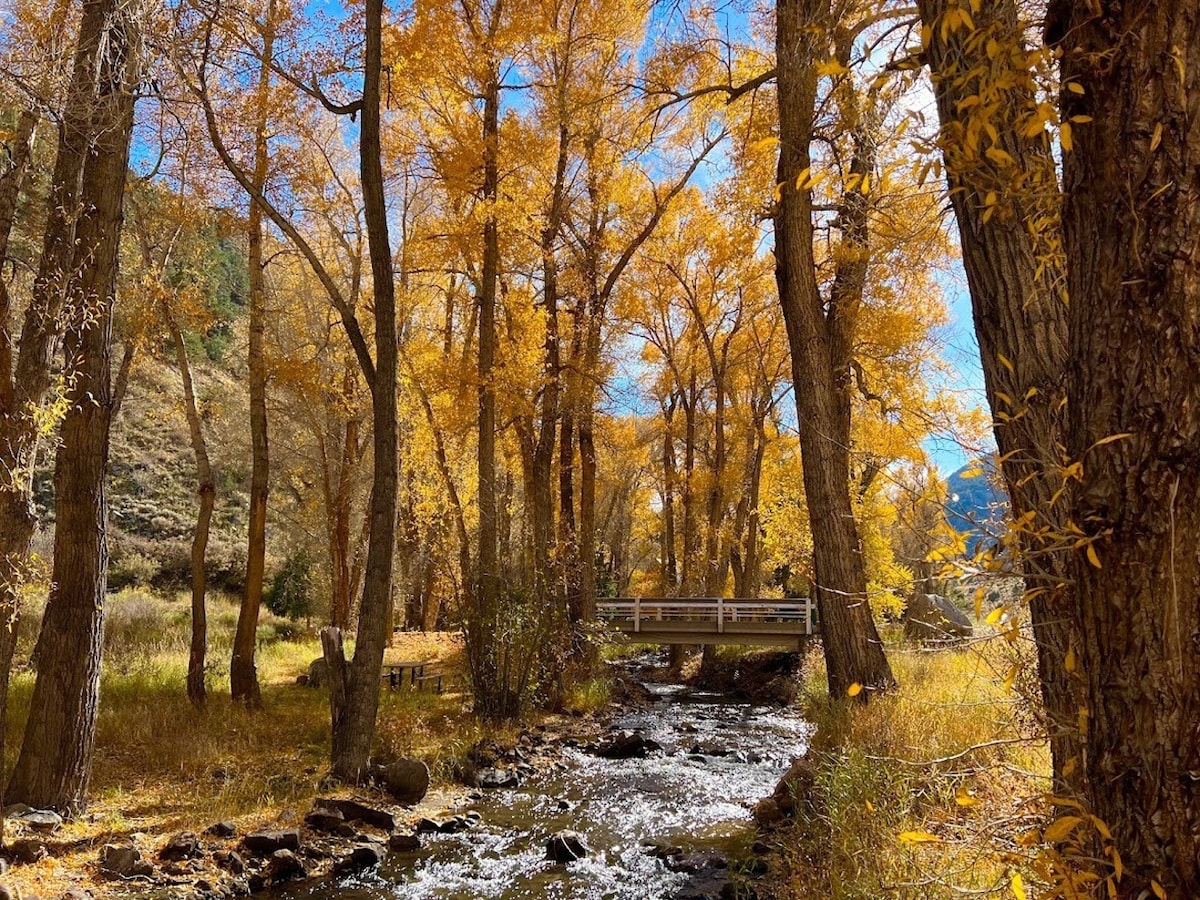An idyllic scene is captured where a gentle stream flows through a landscape adorned with vibrant autumn foliage. A wooden bridge crosses over the stream, surrounded by tall trees showcasing bright yellow and orange leaves, creating a serene outdoor atmosphere.
