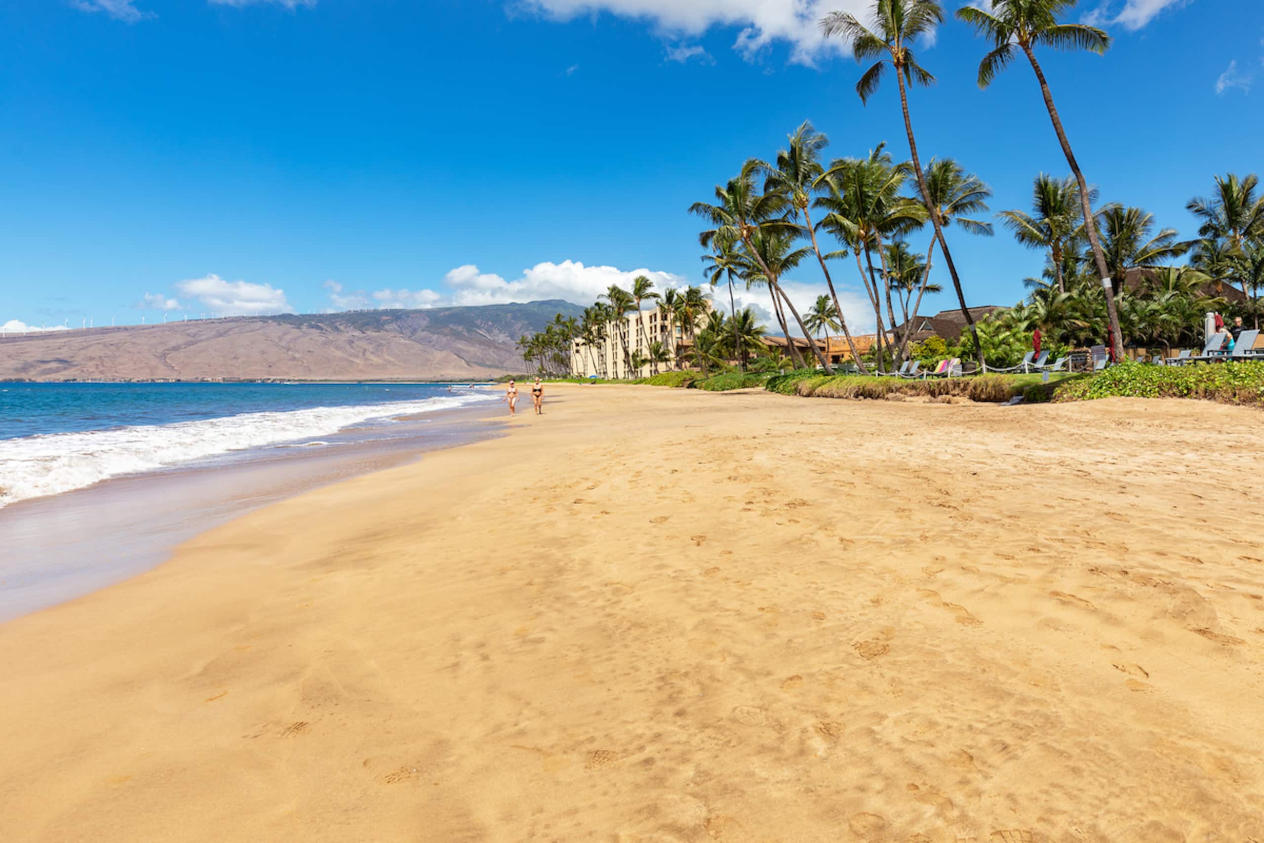 Condo in Kihei · ★4.71 · 1 bedroom · 2 beds · 2 shared baths - Image 24
