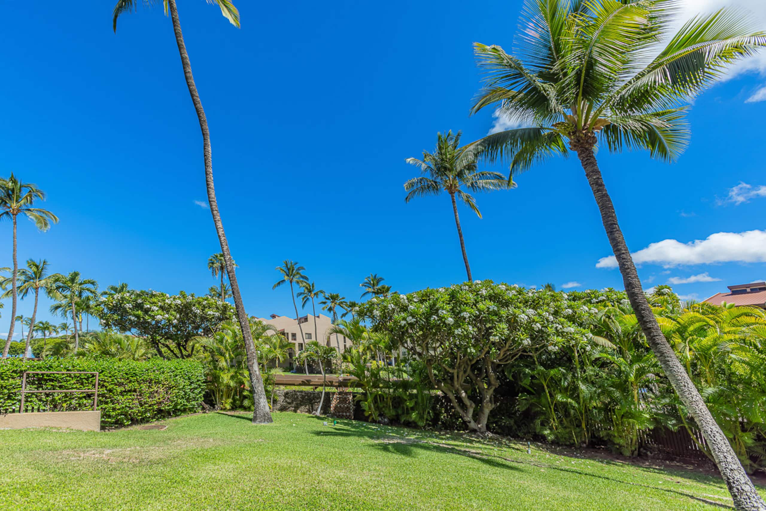Condo in Kihei · ★4.62 · 1 bedroom · 2 beds · 2 shared baths - Image 33