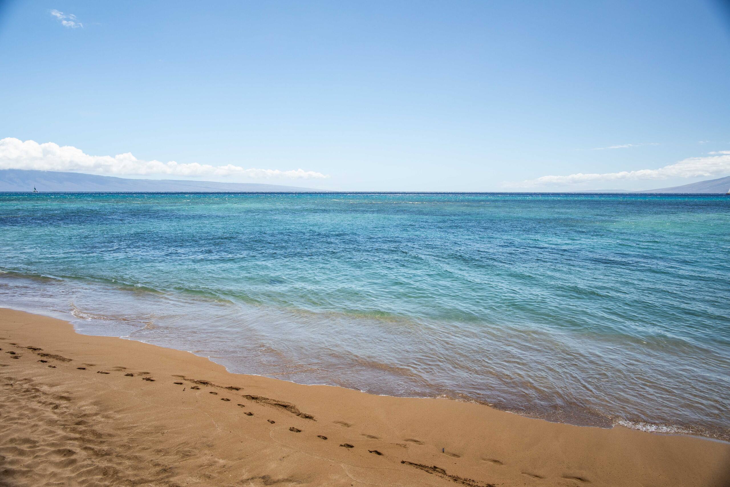 Condo in Lahaina · ★4.85 · 1 bedroom · 2 beds · 1 bath - Image 18