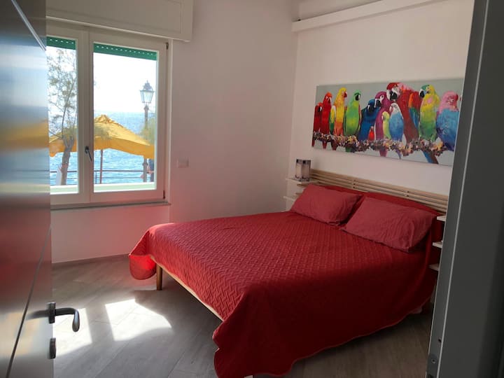 Habitación 1