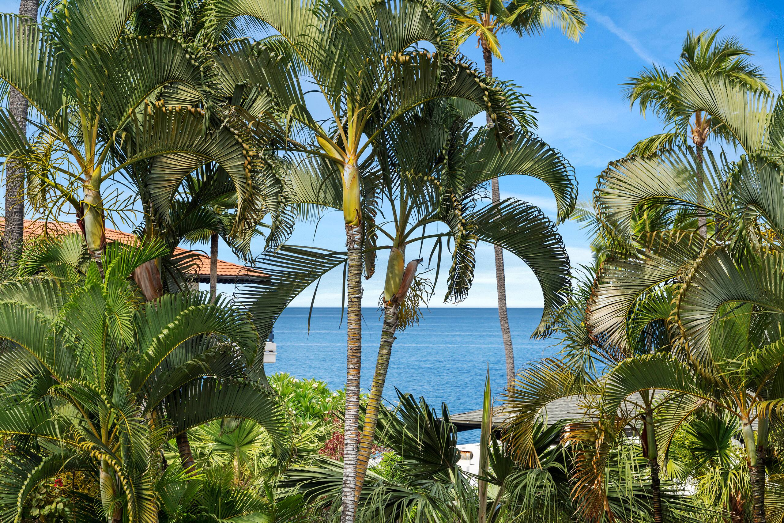 Condo in Kailua-Kona · ★4.58 · 1 bedroom · 2 beds · 1 shared bath - Image 34