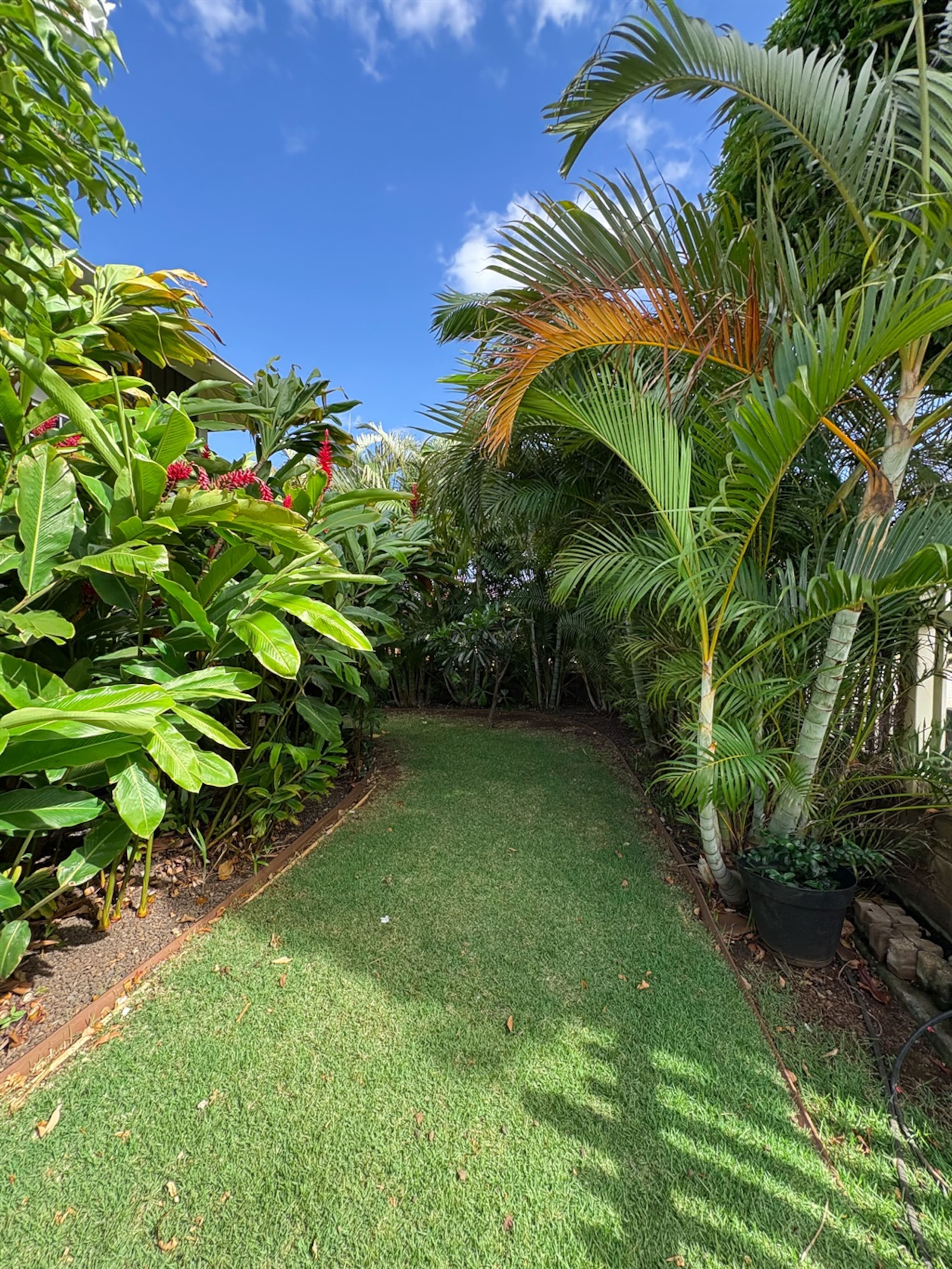 Home in Wailuku · ★5.0 · 4 bedrooms · 7 beds · 3 baths - Image 148