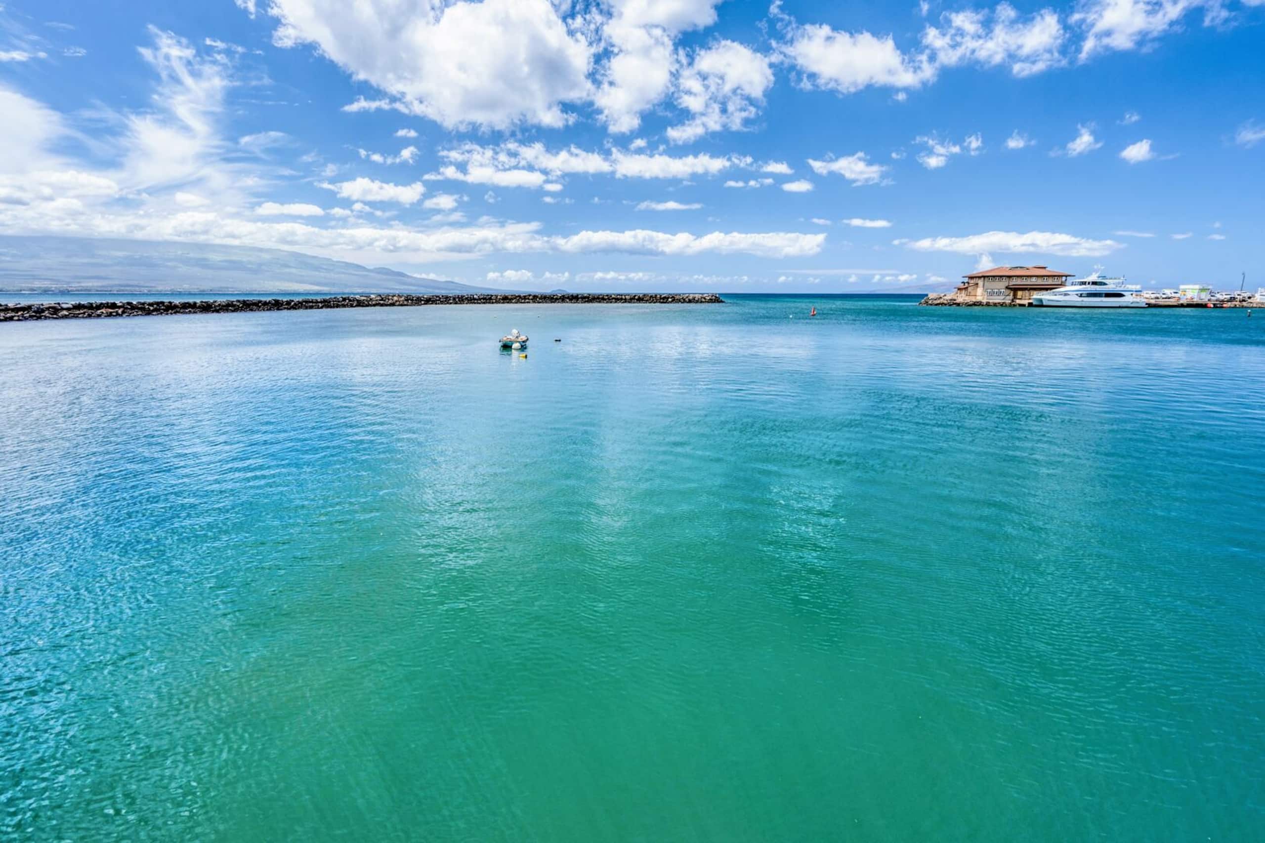 Condo in Kihei · ★4.57 · 1 bedroom · 2 beds · 1 bath - Image 22