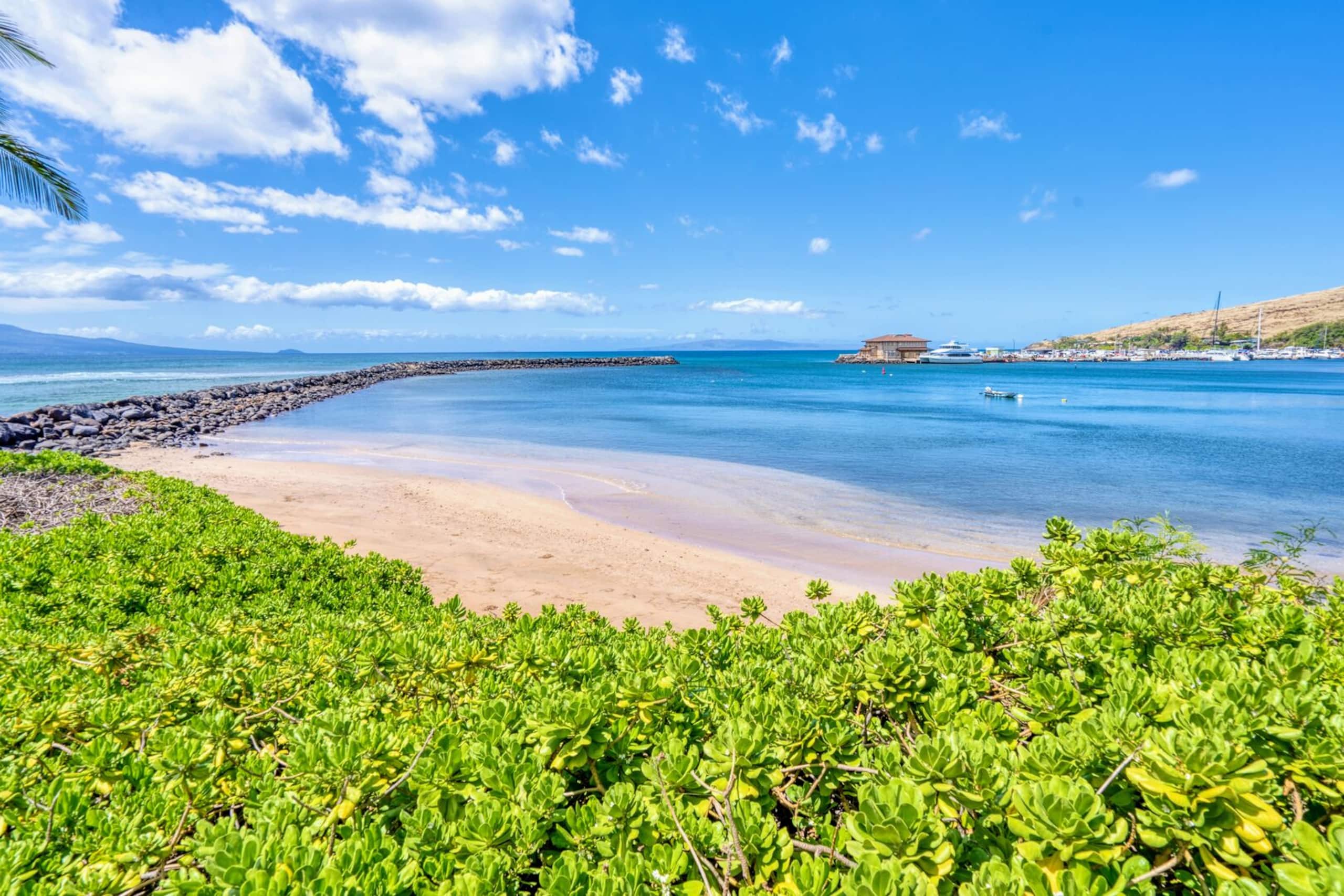 Condo in Kihei · ★4.57 · 1 bedroom · 2 beds · 1 bath - Image 23