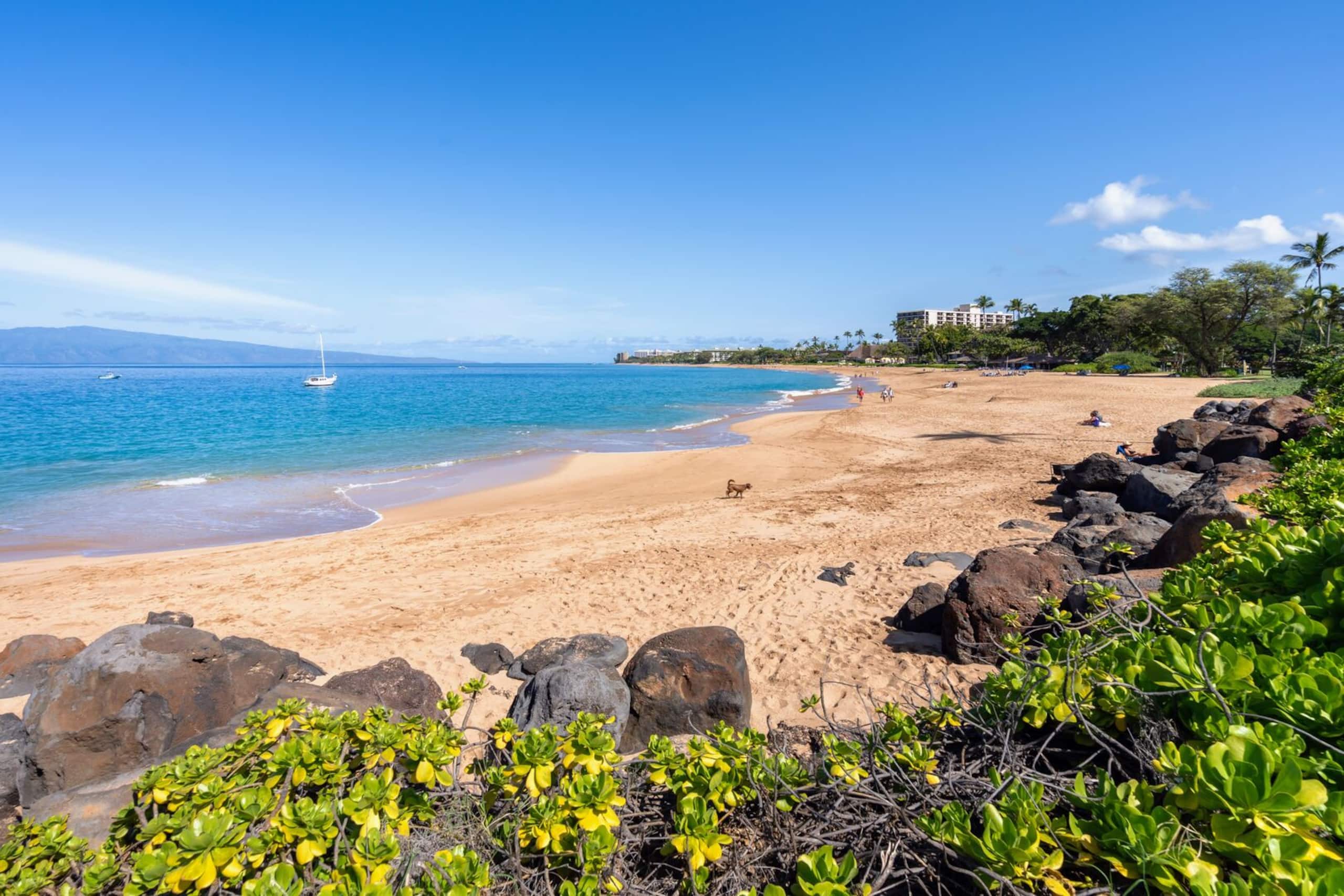 Condo in Kihei · ★4.57 · 1 bedroom · 2 beds · 1 bath - Image 25