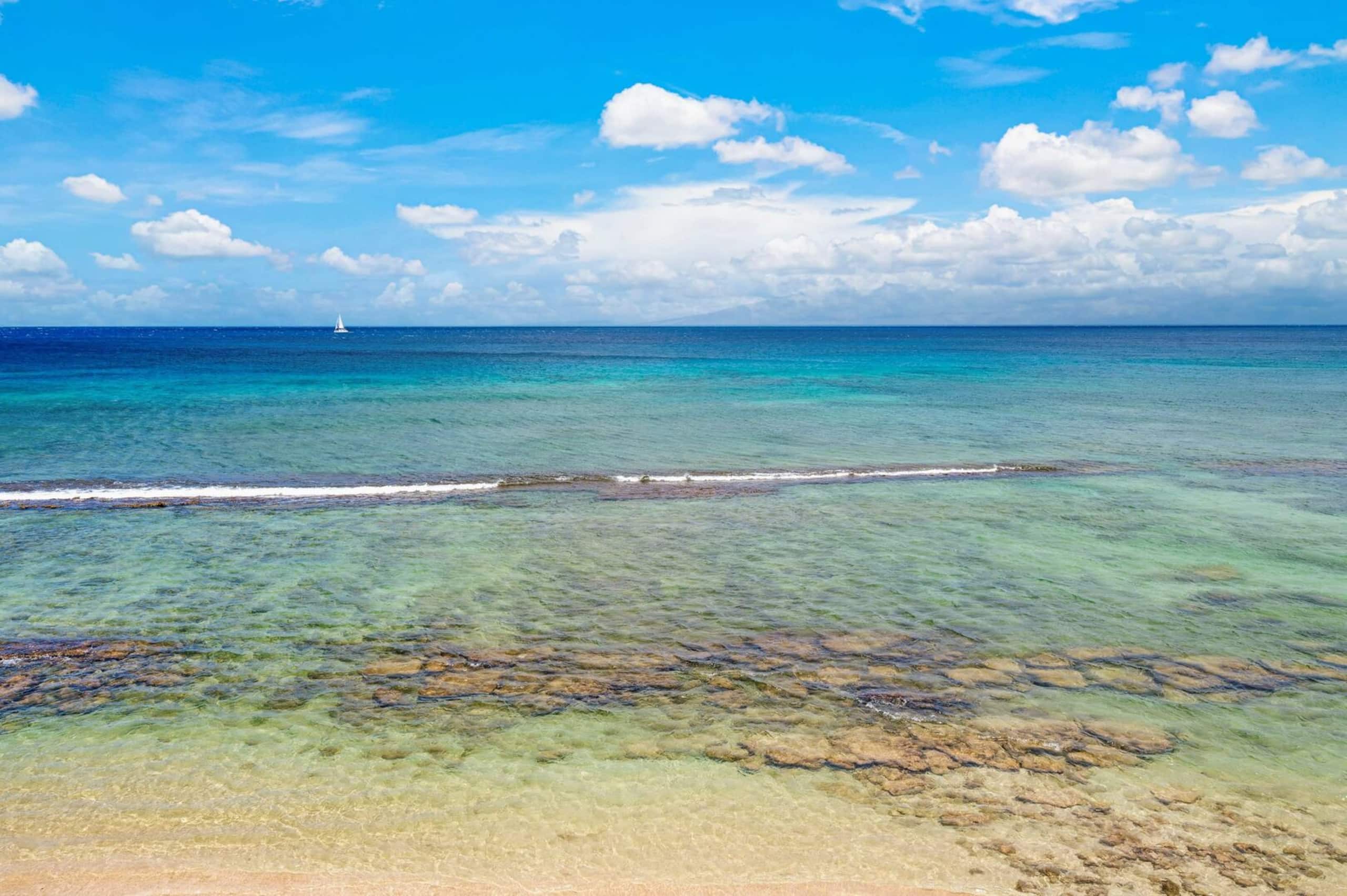 Condo in Kihei · ★4.57 · 1 bedroom · 2 beds · 1 bath - Image 36