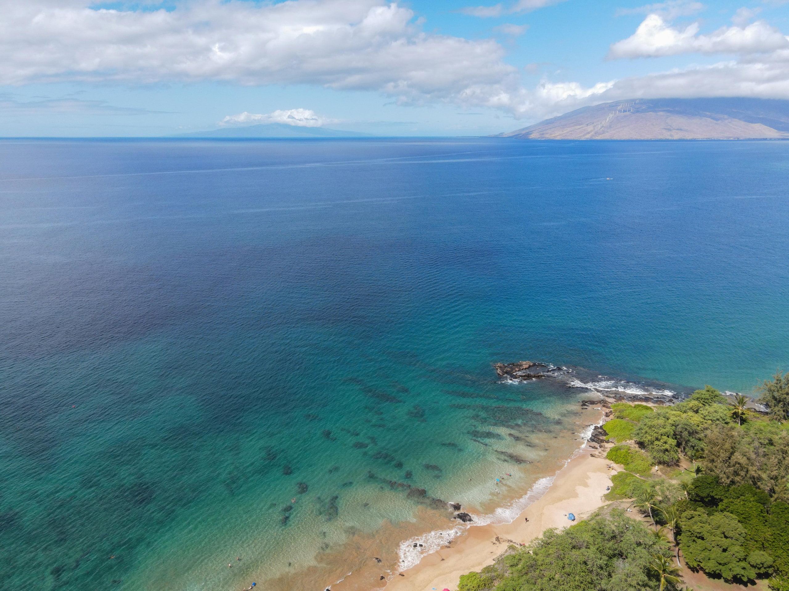 Condo in Kihei · ★4.98 · 1 bedroom · 2 beds · 2 private baths - Image 42
