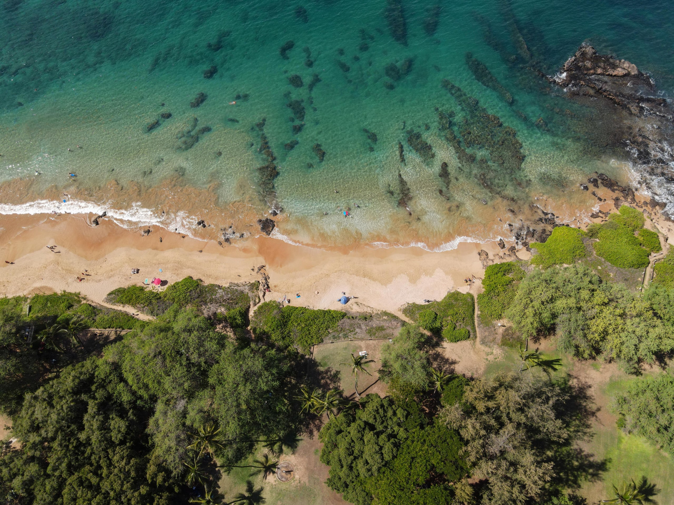 Condo in Kihei · ★4.98 · 1 bedroom · 2 beds · 2 private baths - Image 46
