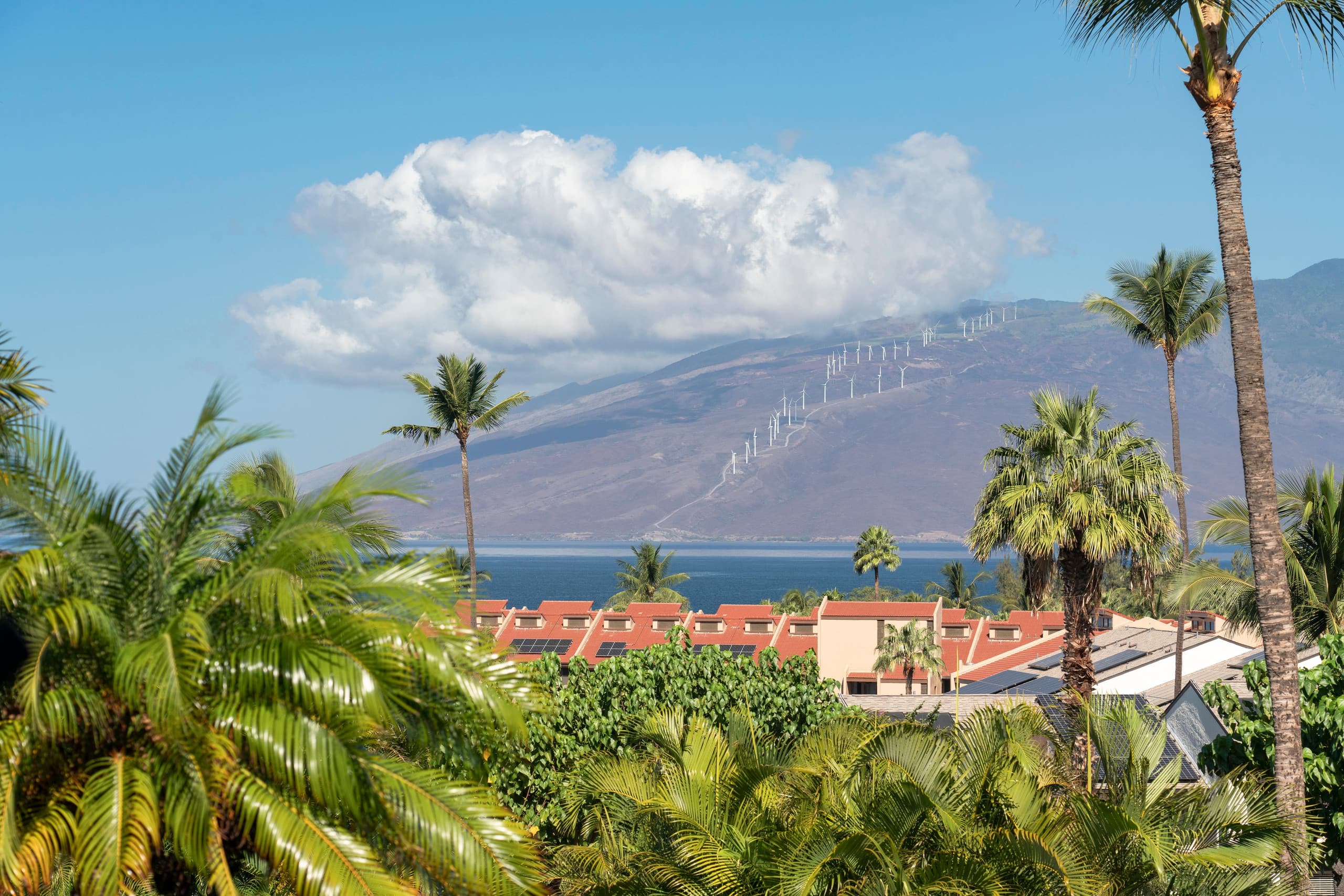 Condo in Kihei · ★4.98 · 1 bedroom · 2 beds · 2 private baths - Image 5
