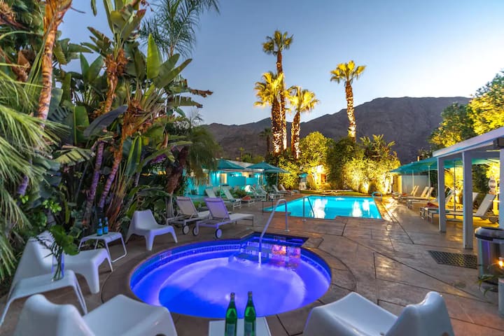 Bellevue Oasis managed Airbnb listing 2