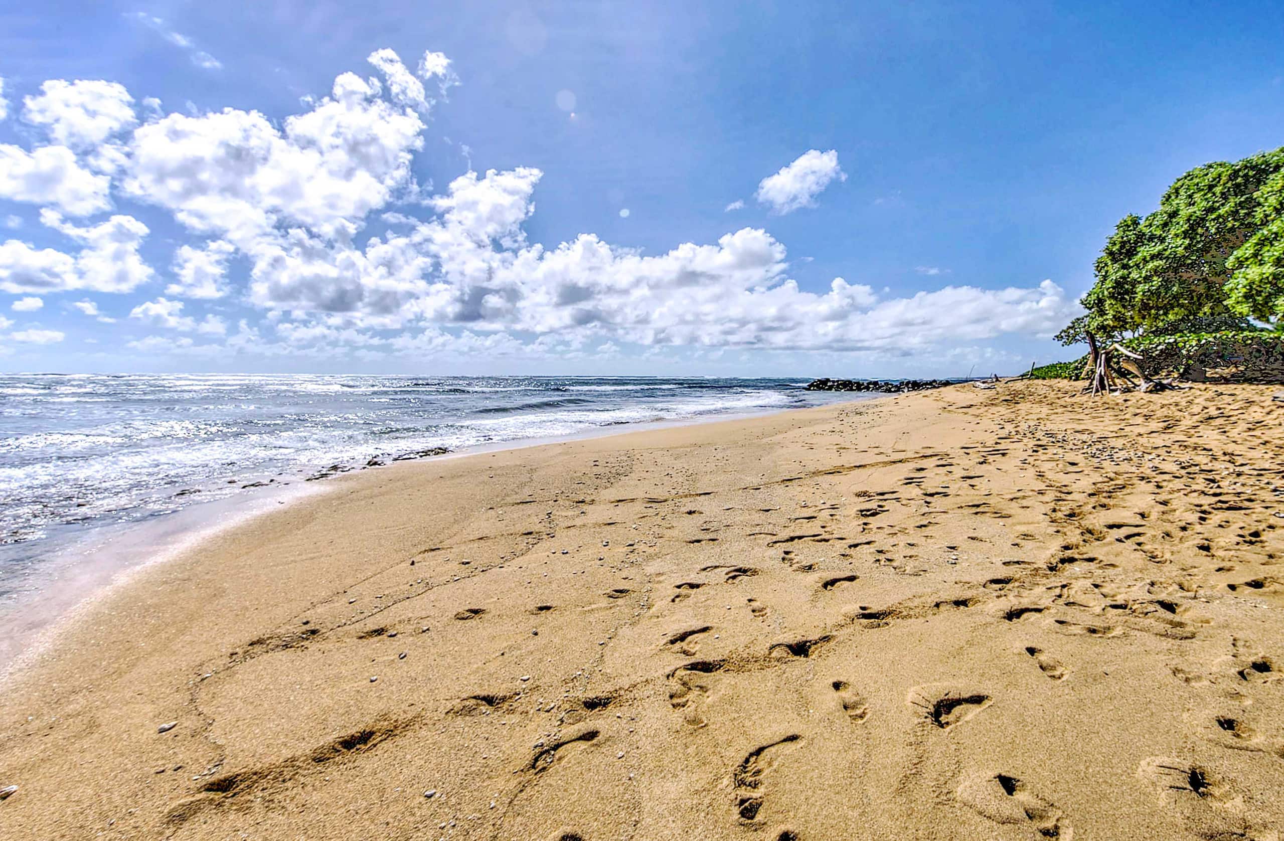 Condo in Kapaa · ★4.77 · 2 bedrooms · 2 beds · 1 shared bath - Image 30