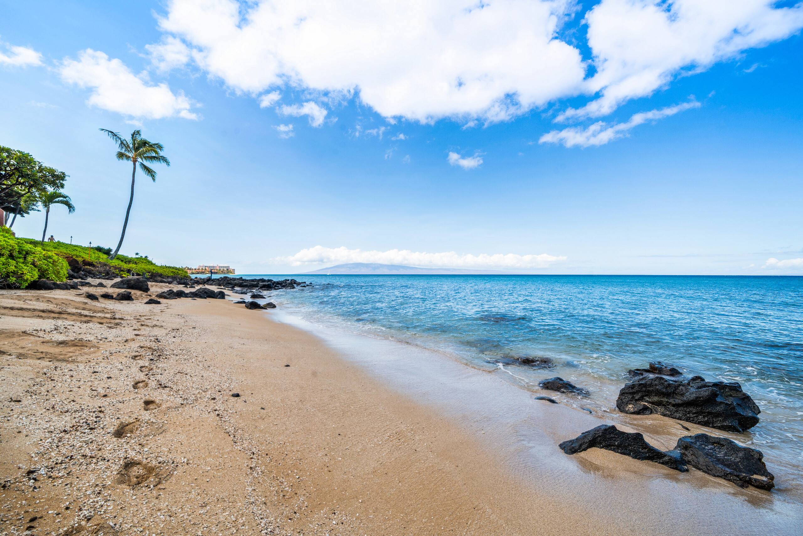 Condo in Lahaina · ★4.71 · 1 bedroom · 2 beds · 1 bath - Image 48