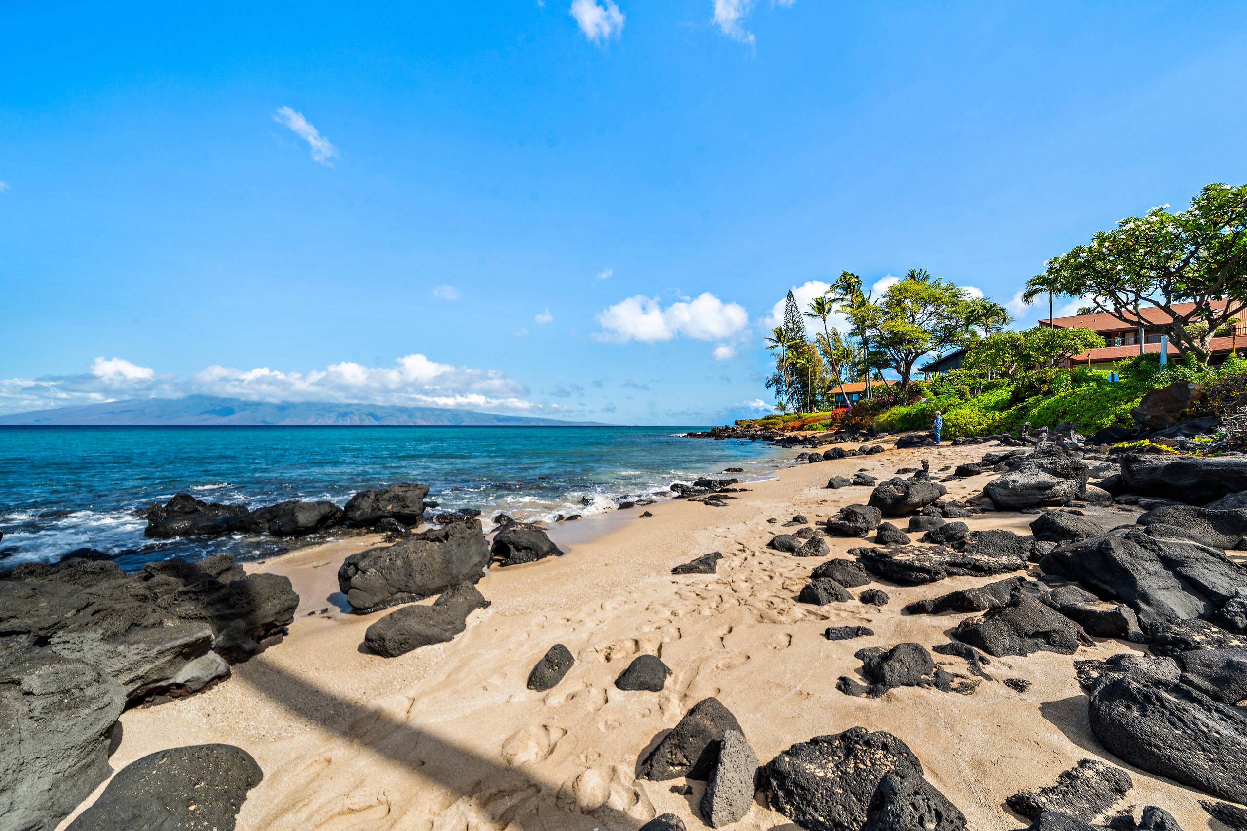Condo in Lahaina · ★4.71 · 1 bedroom · 2 beds · 1 bath - Image 50