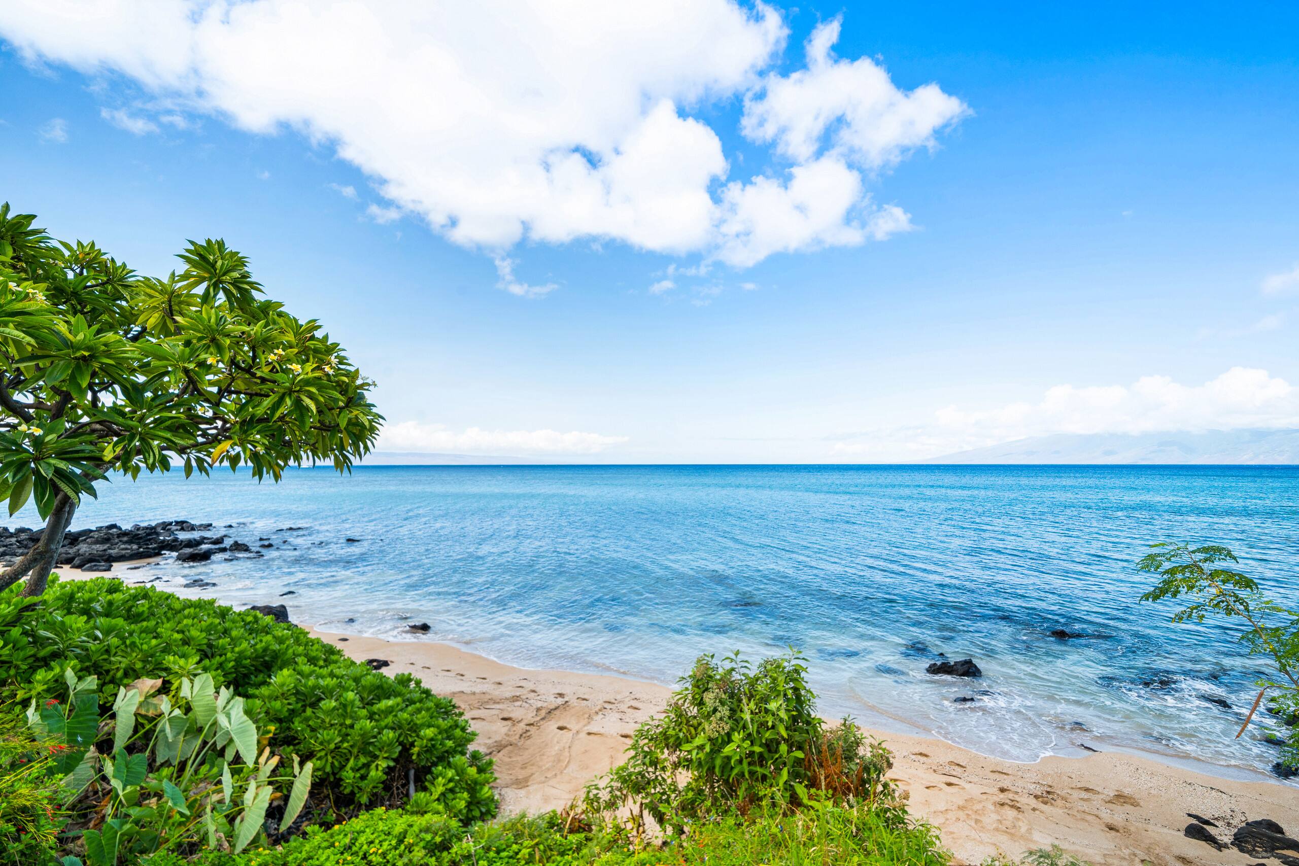 Condo in Lahaina · ★4.71 · 1 bedroom · 2 beds · 1 bath - Image 46