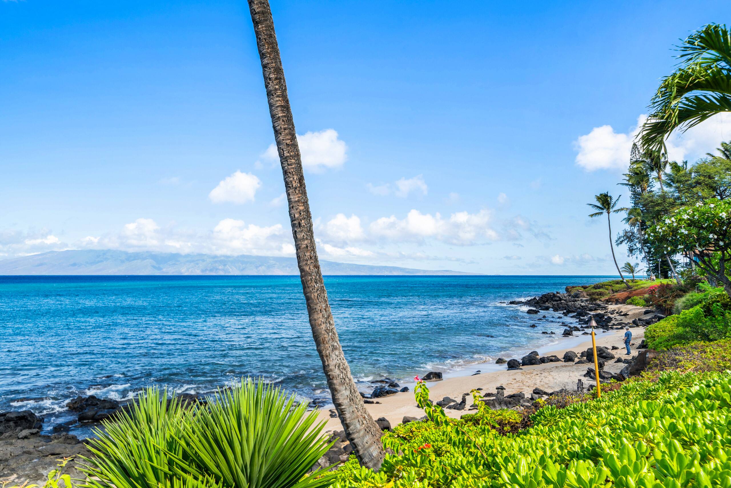 Condo in Lahaina · ★4.71 · 1 bedroom · 2 beds · 1 bath - Image 47