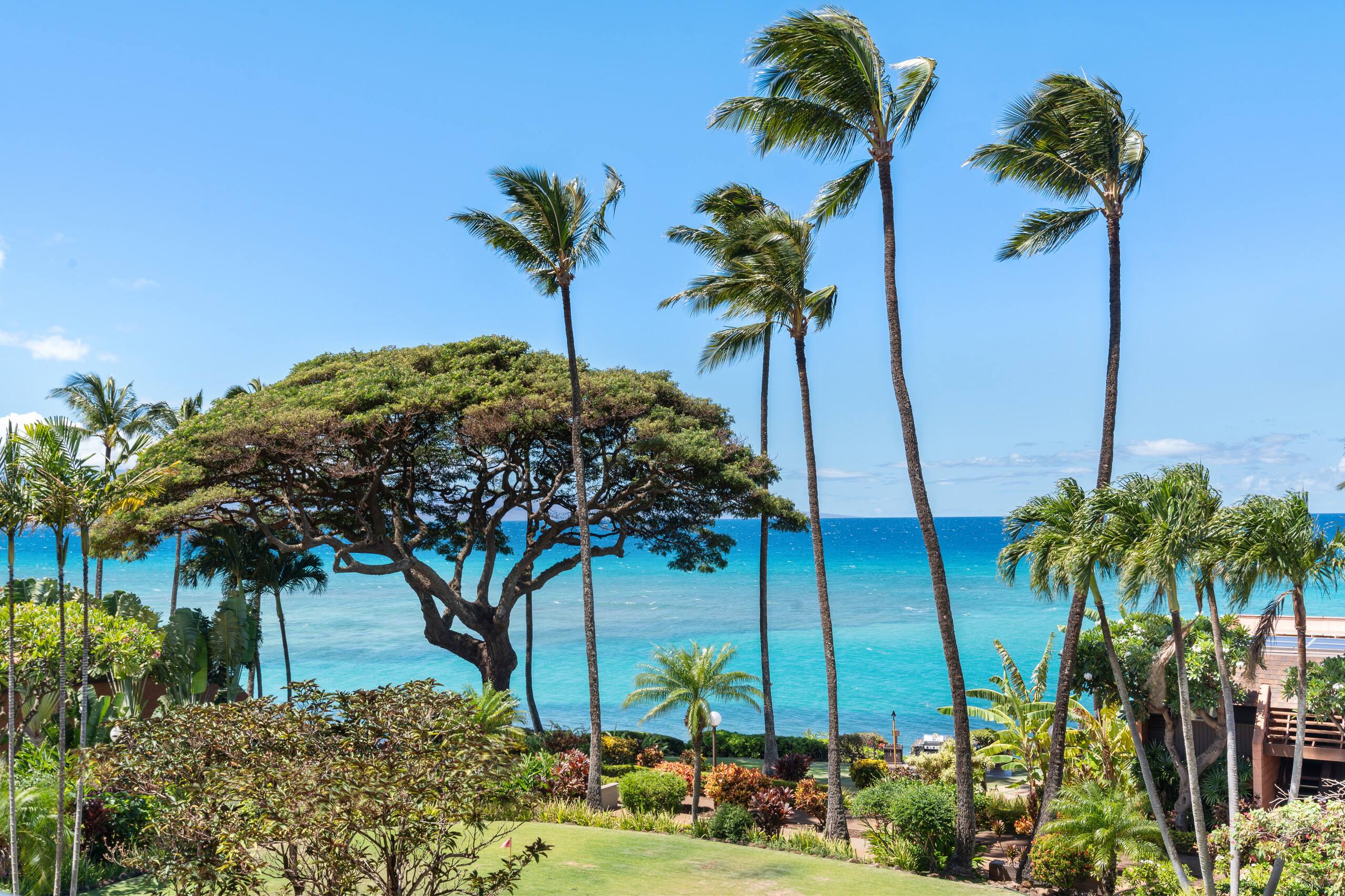 Condo in Lahaina · ★4.71 · 1 bedroom · 2 beds · 1 bath - Image 39