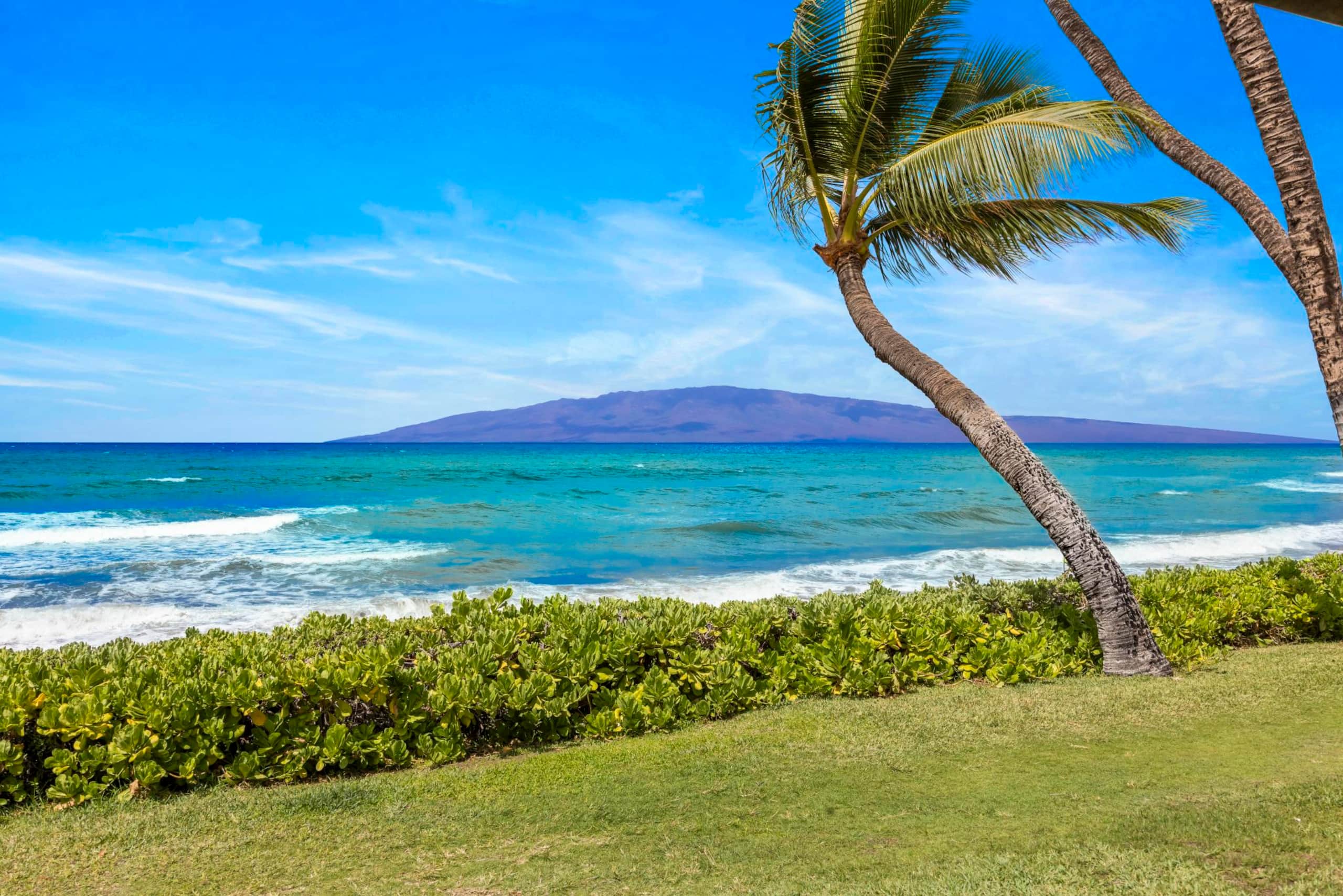 Townhouse in Lahaina · ★4.0 · 4 bedrooms · 4 beds · 4 baths - Image 10