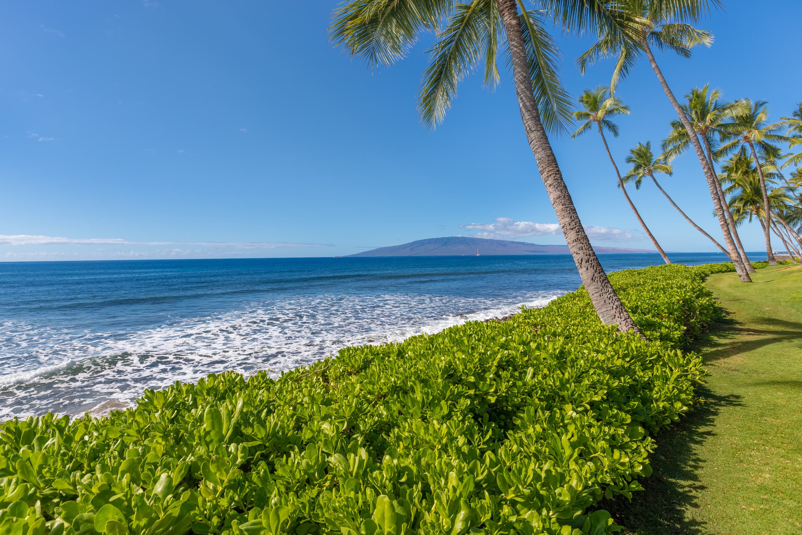 Townhouse in Lahaina · ★4.73 · 4 bedrooms · 5 beds · 4 baths - Image 38