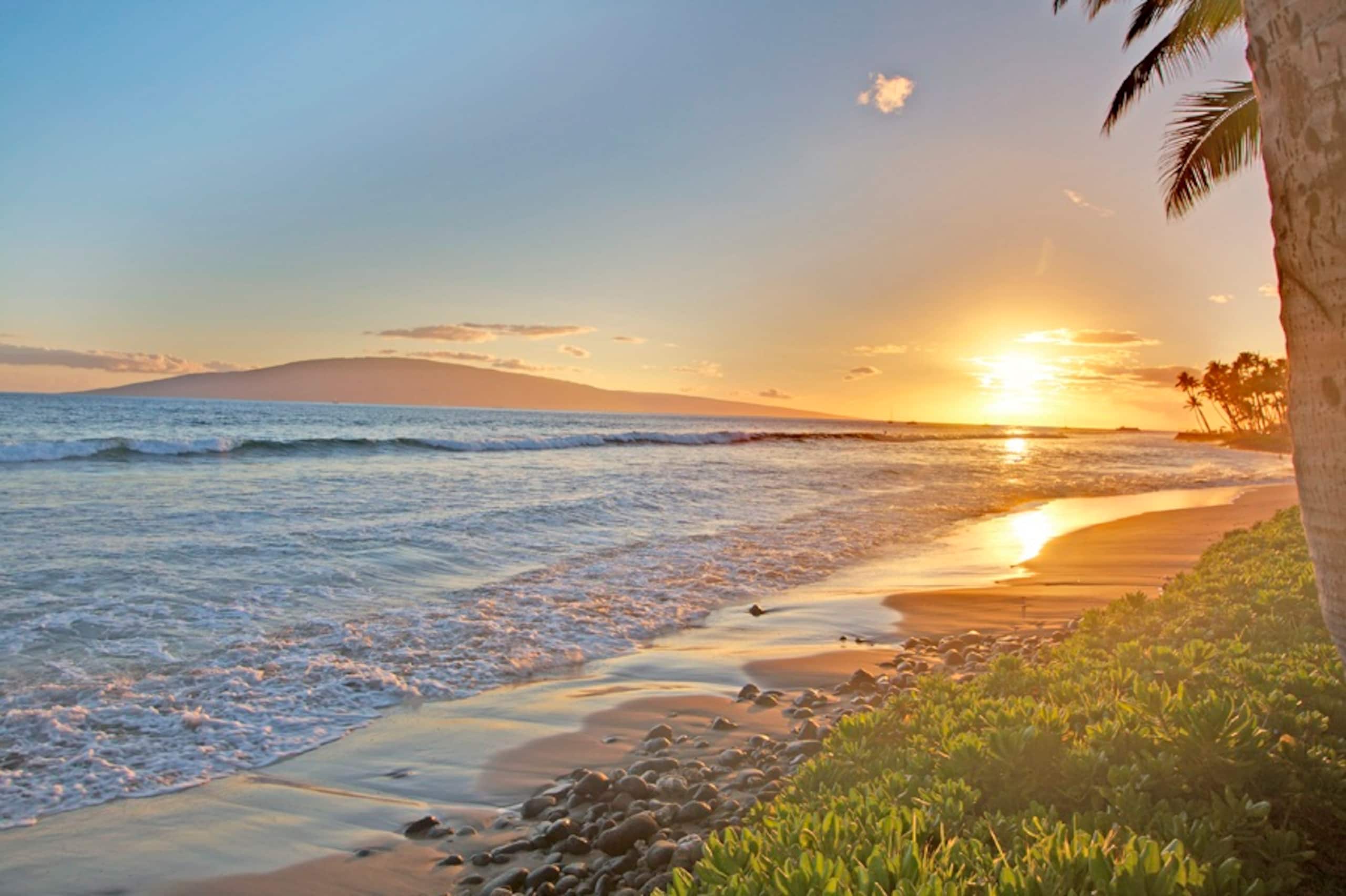 Townhouse in Lahaina · ★4.33 · 3 bedrooms · 4 beds · 2.5 baths - Image 47