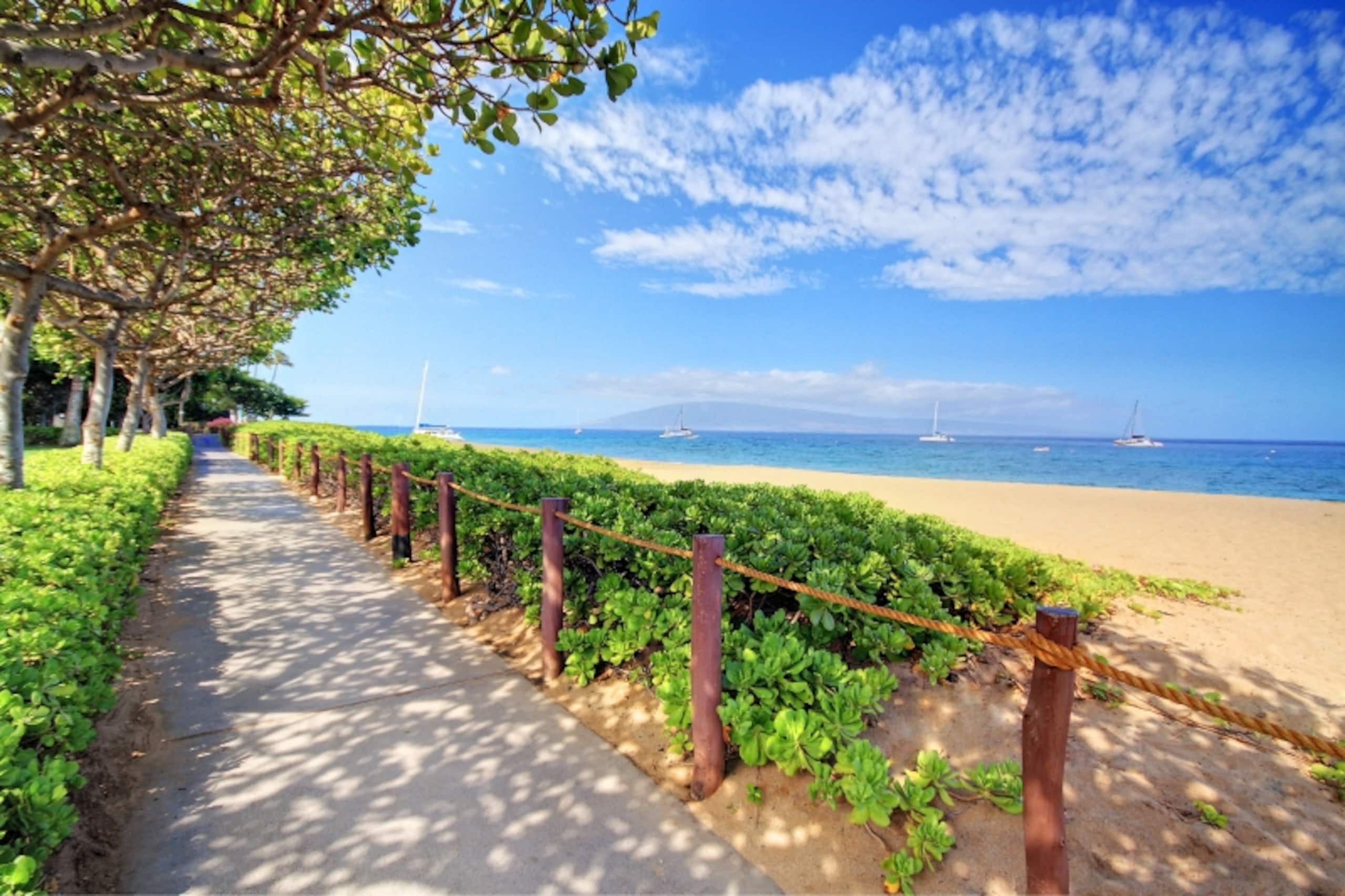 Condo in Lahaina · ★4.82 · Studio · 1 bed · No bathroom - Image 14