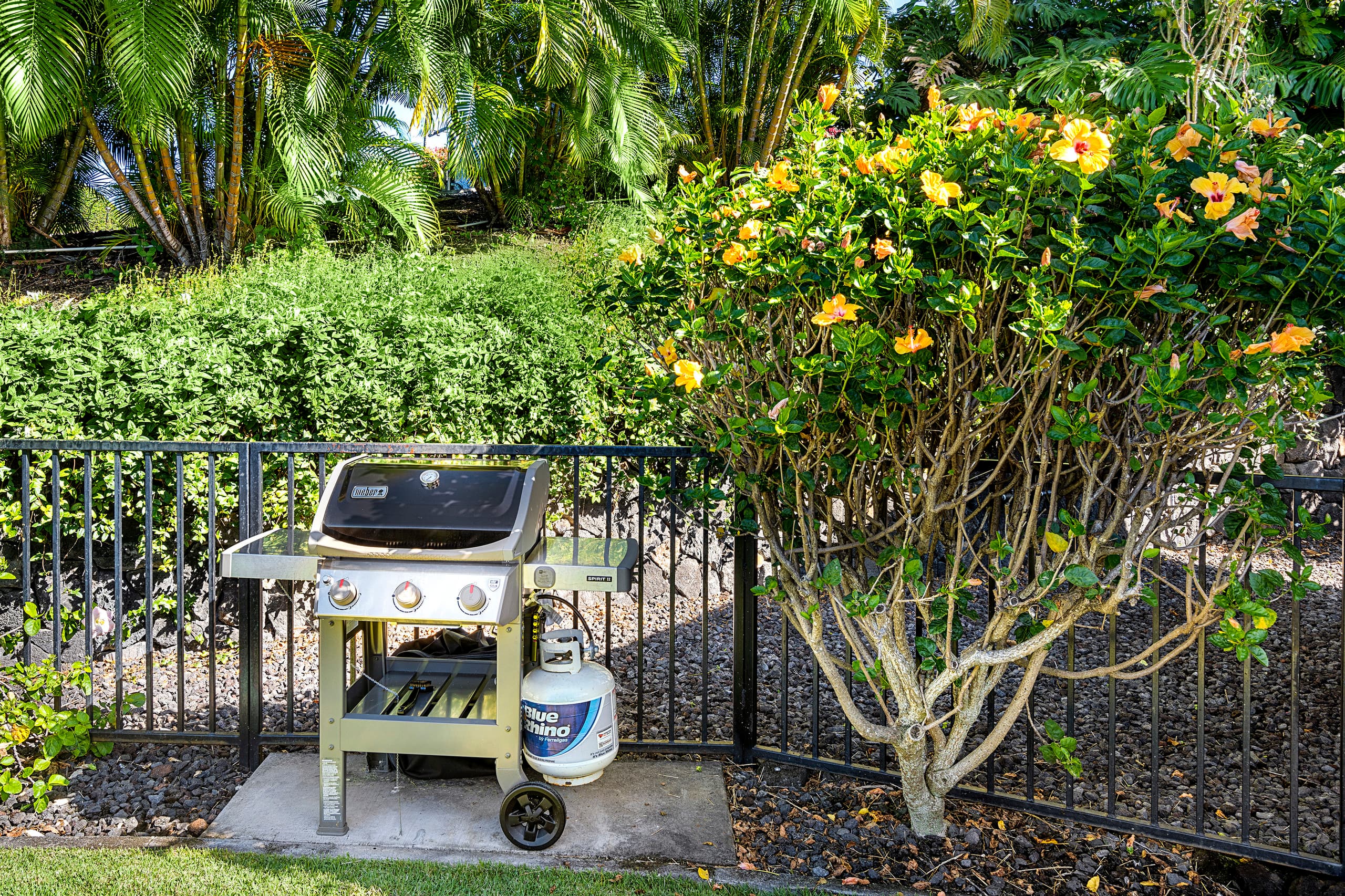 Home in Kailua-Kona · ★4.91 · 3 bedrooms · 3 beds · 3 baths - Image 4
