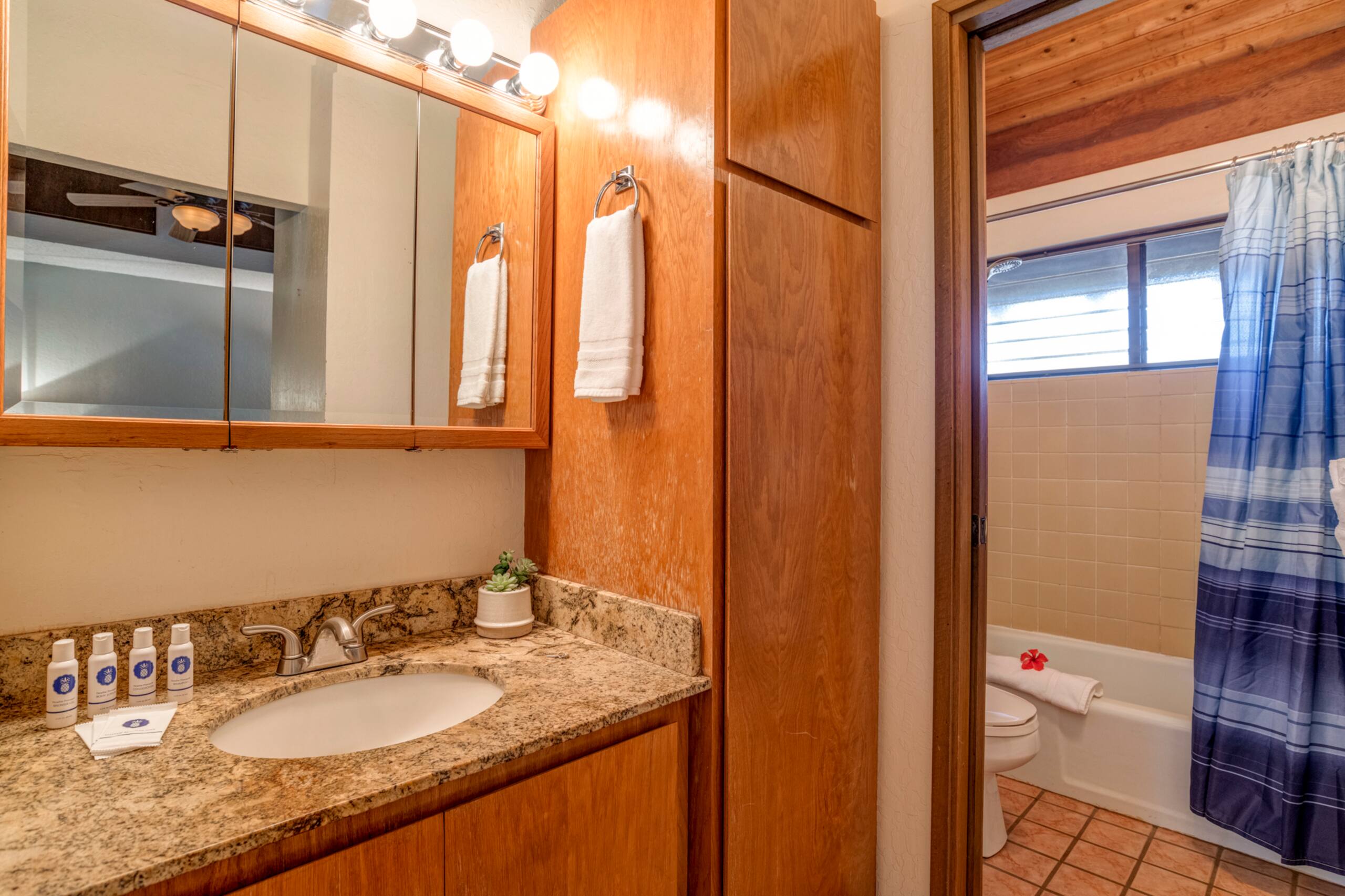 Condo in Kihei · ★4.52 · 2 bedrooms · 3 beds · 2 baths - Image 16