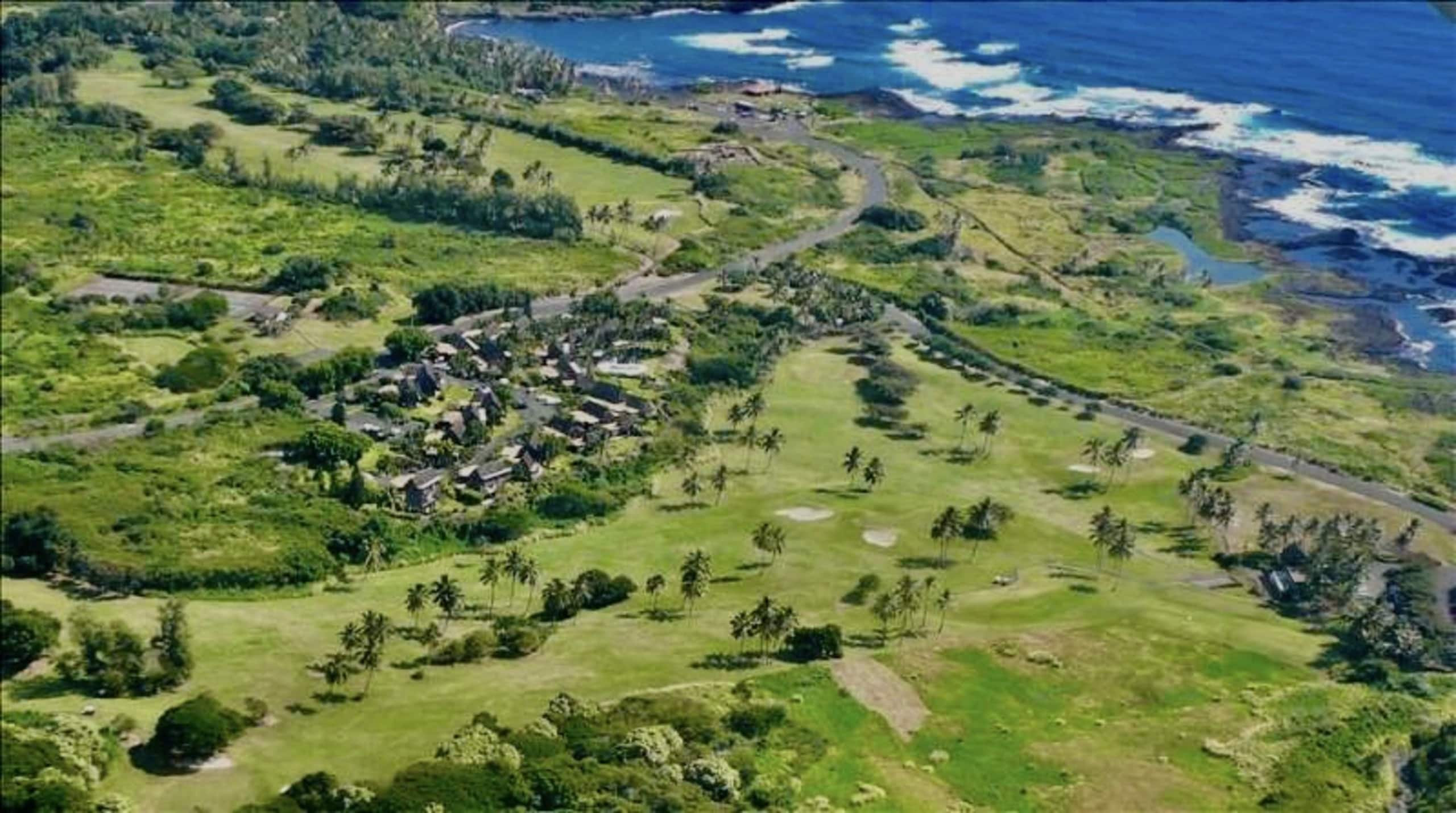 Condo in Naalehu · ★4.85 · Studio · 2 beds · 1 private bath - Image 23