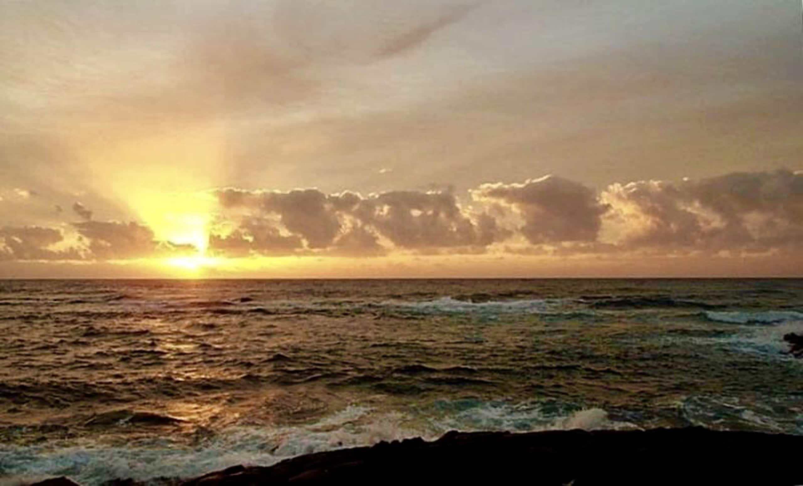 Condo in Naalehu · ★4.85 · Studio · 2 beds · 1 private bath - Image 19