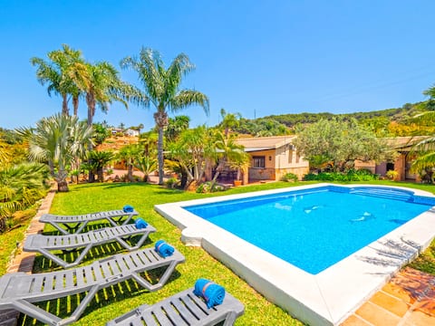 Cubo's Finca Los Dragos