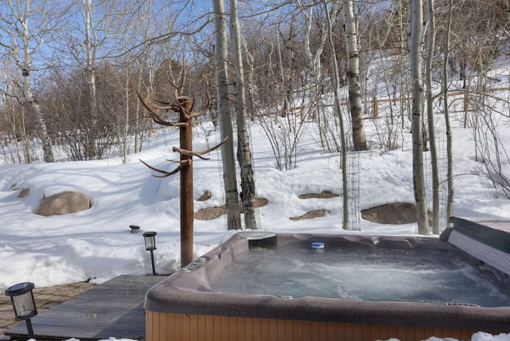 Luxury Mountain Retreat Near Beaver Creek +Hot Tub - Eagle, CO
