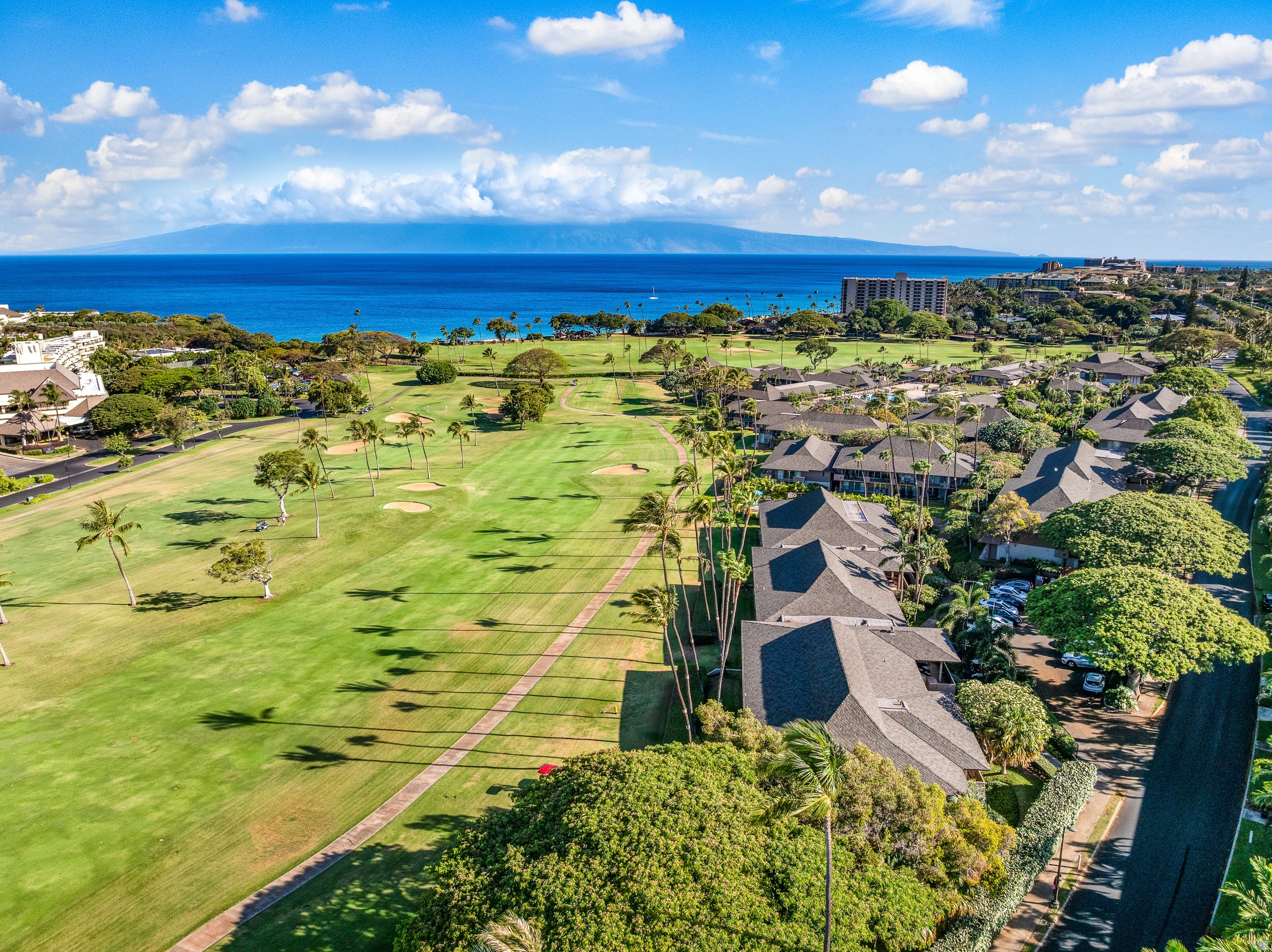 Condo in Lahaina · ★4.92 · 1 bedroom · 2 beds · 1 bath - Image 39