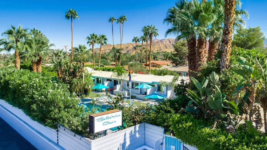 Bellevue Oasis managed Airbnb listing 3