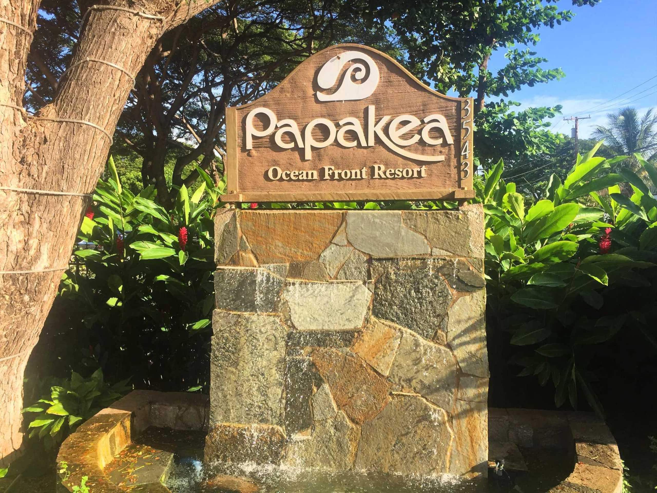 Papakea E204, Ocean view, King bed Suite - Image 30