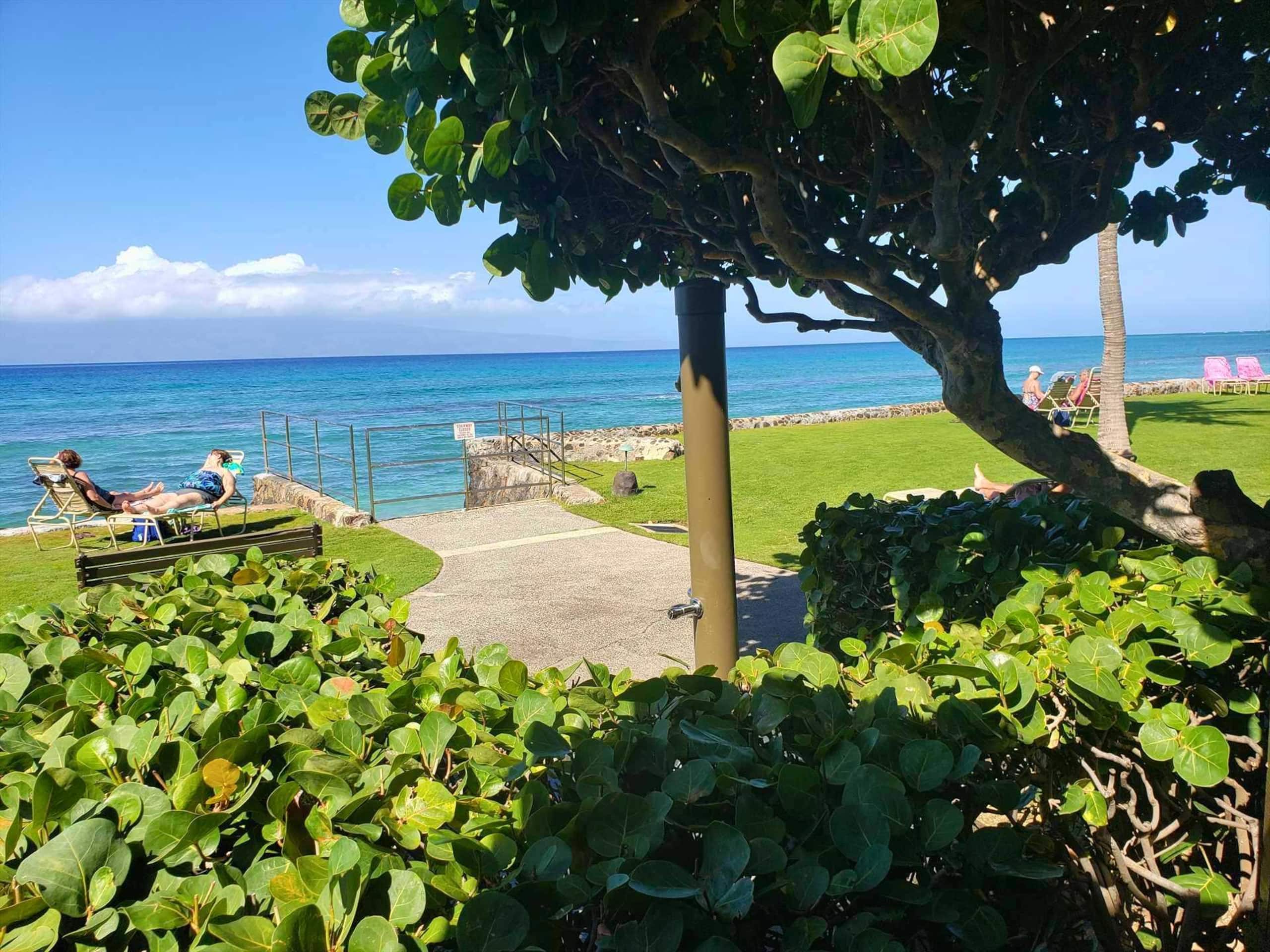 Papakea E204, Ocean view, King bed Suite - Image 42