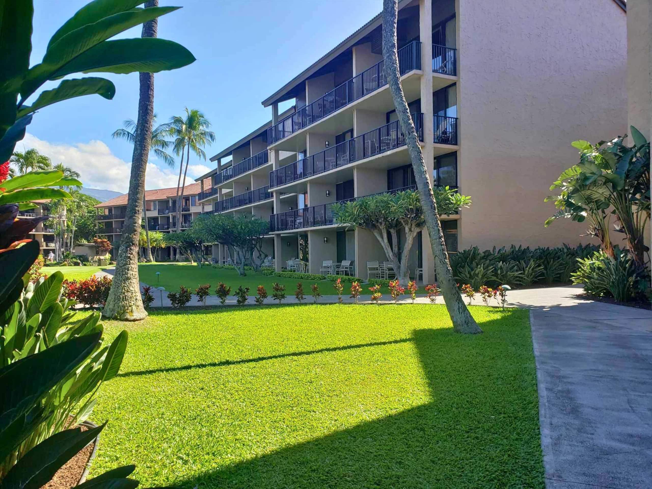 Papakea E204, Ocean view, King bed Suite - Image 36