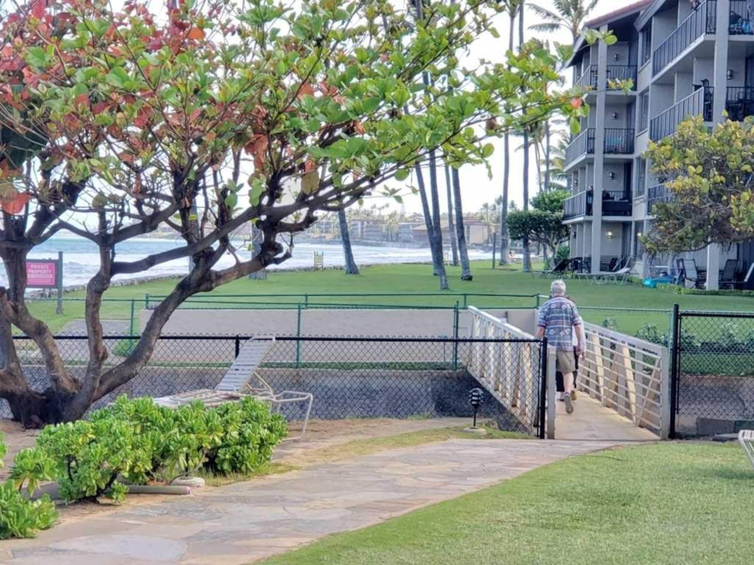 Papakea E204, Ocean view, King bed Suite - Image 29