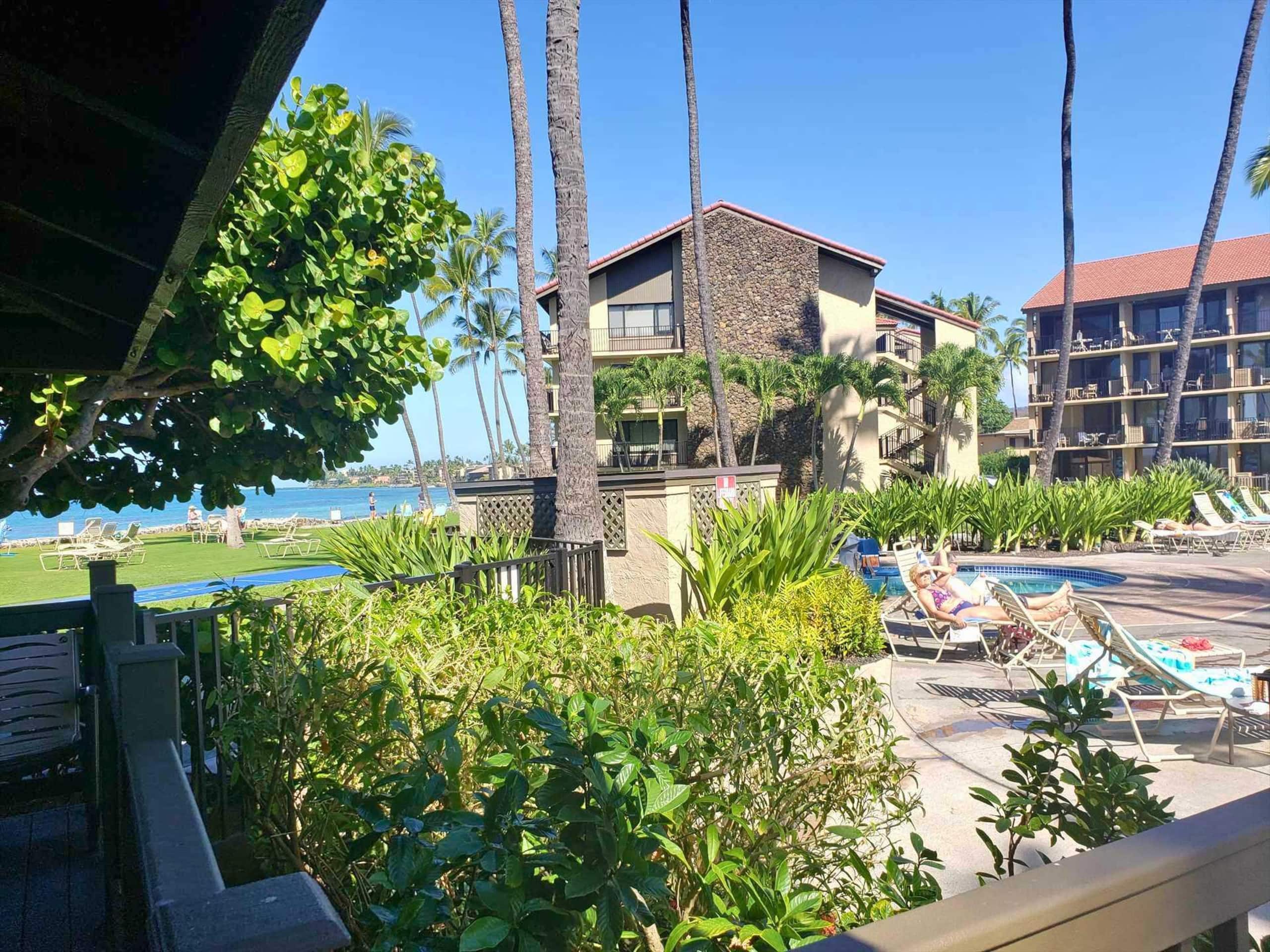 Papakea E204, Ocean view, King bed Suite - Image 40