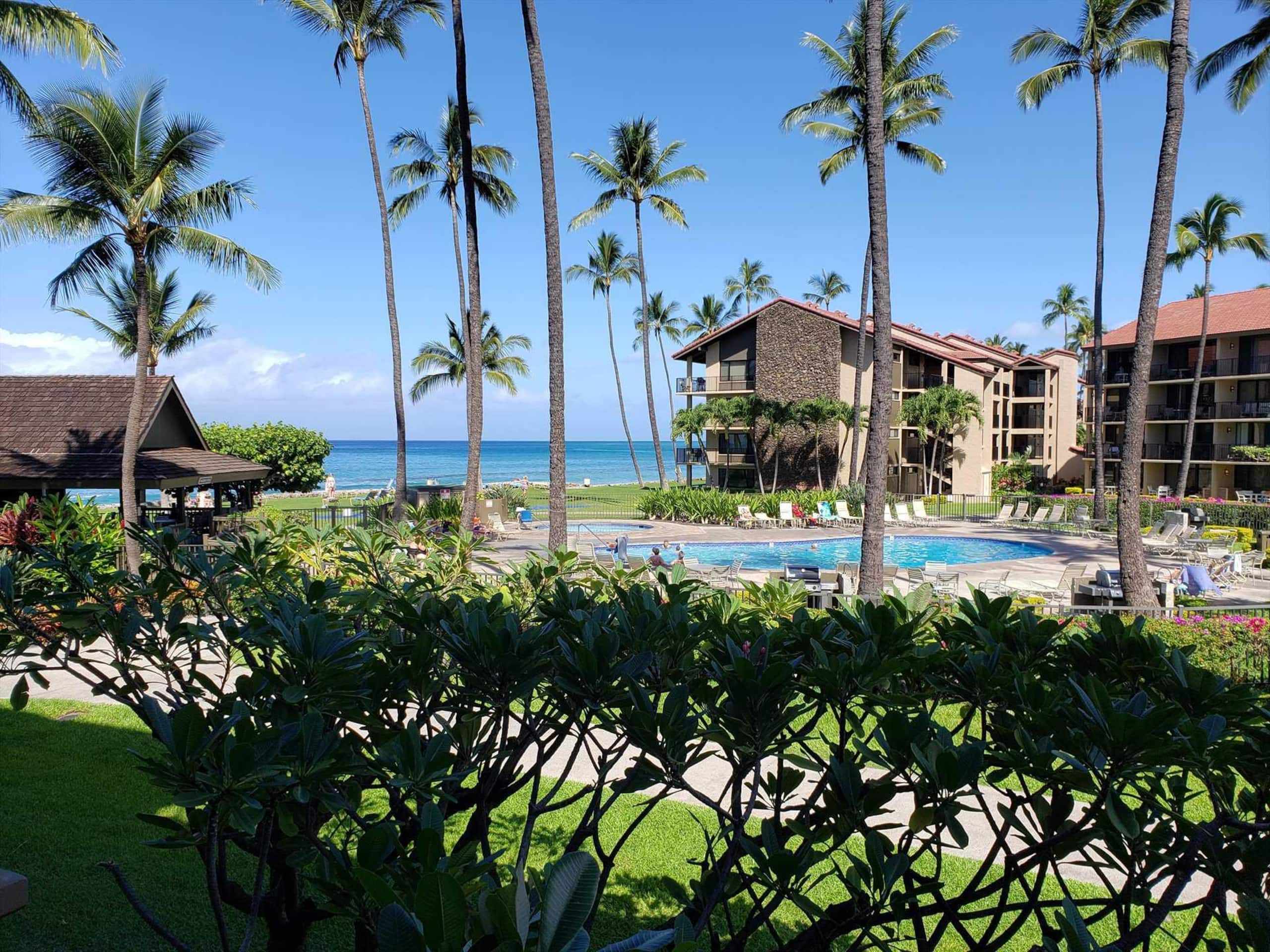 Papakea E204, Ocean view, King bed Suite - Image 2