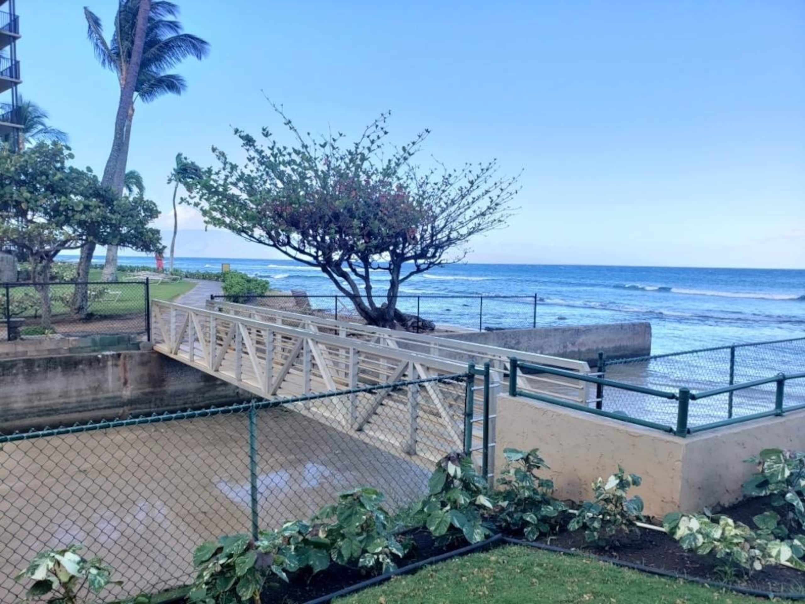Papakea E204, Ocean view, King bed Suite - Image 28