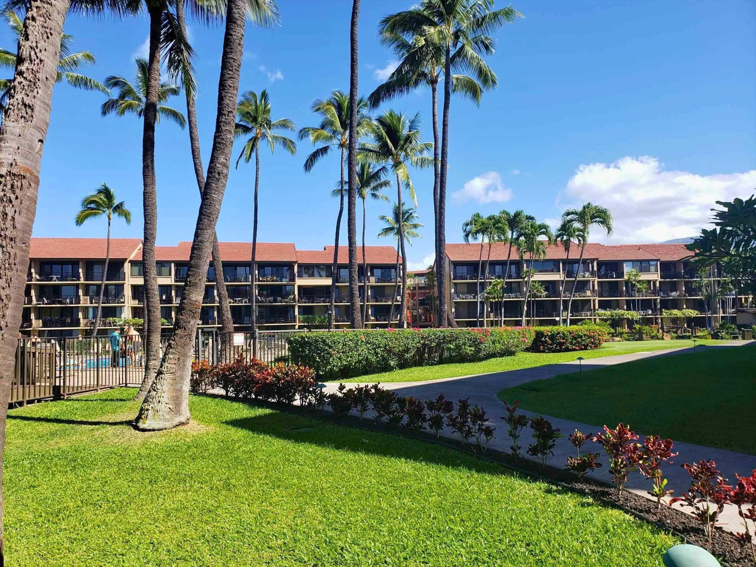 Papakea E204, Ocean view, King bed Suite - Image 37
