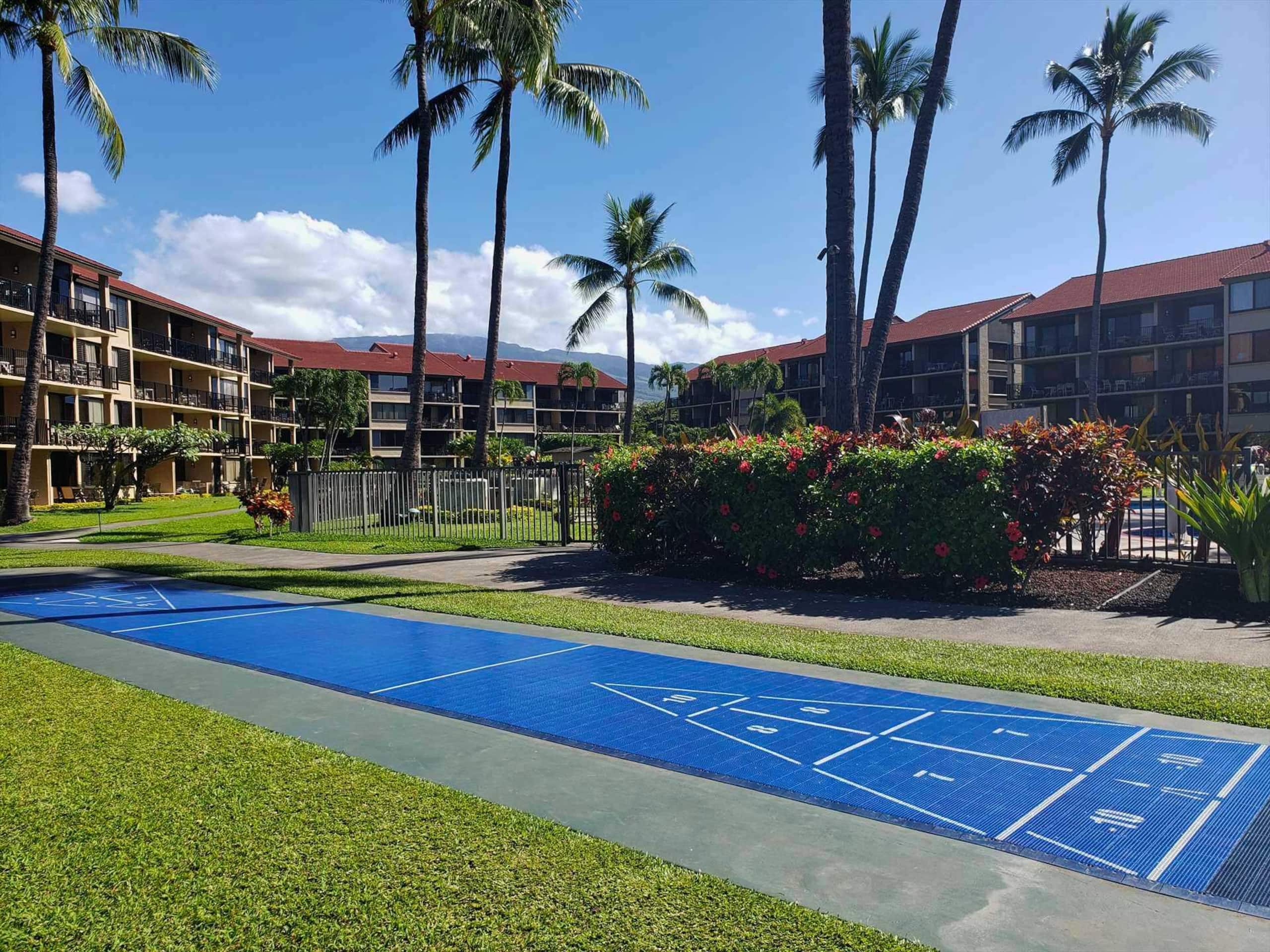 Papakea E204, Ocean view, King bed Suite - Image 35