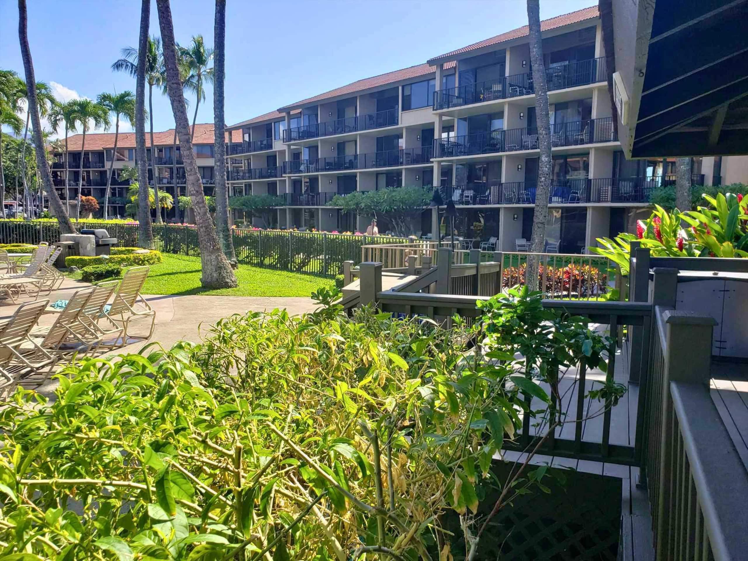 Papakea E204, Ocean view, King bed Suite - Image 39
