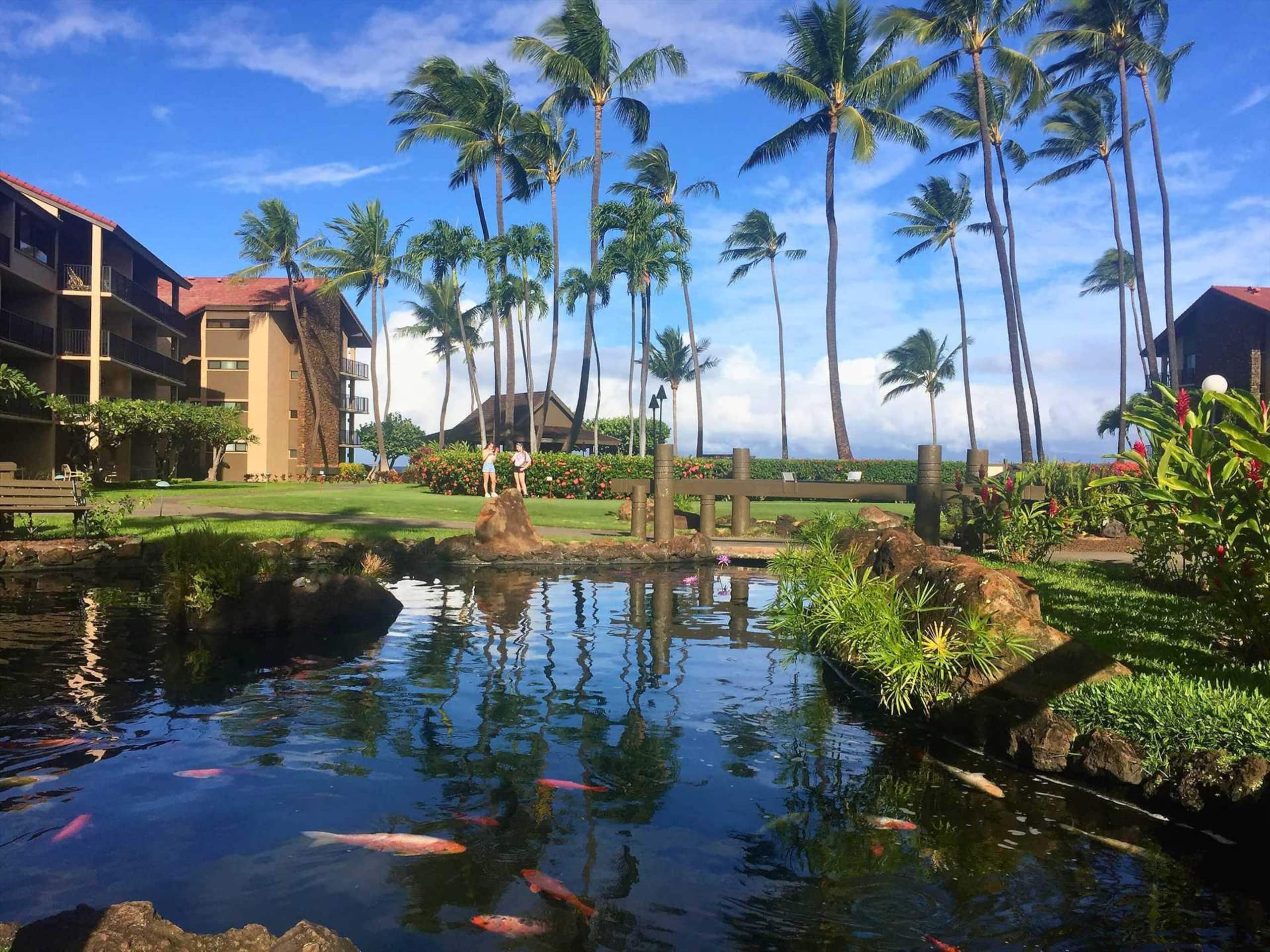 Papakea E204, Ocean view, King bed Suite - Image 33